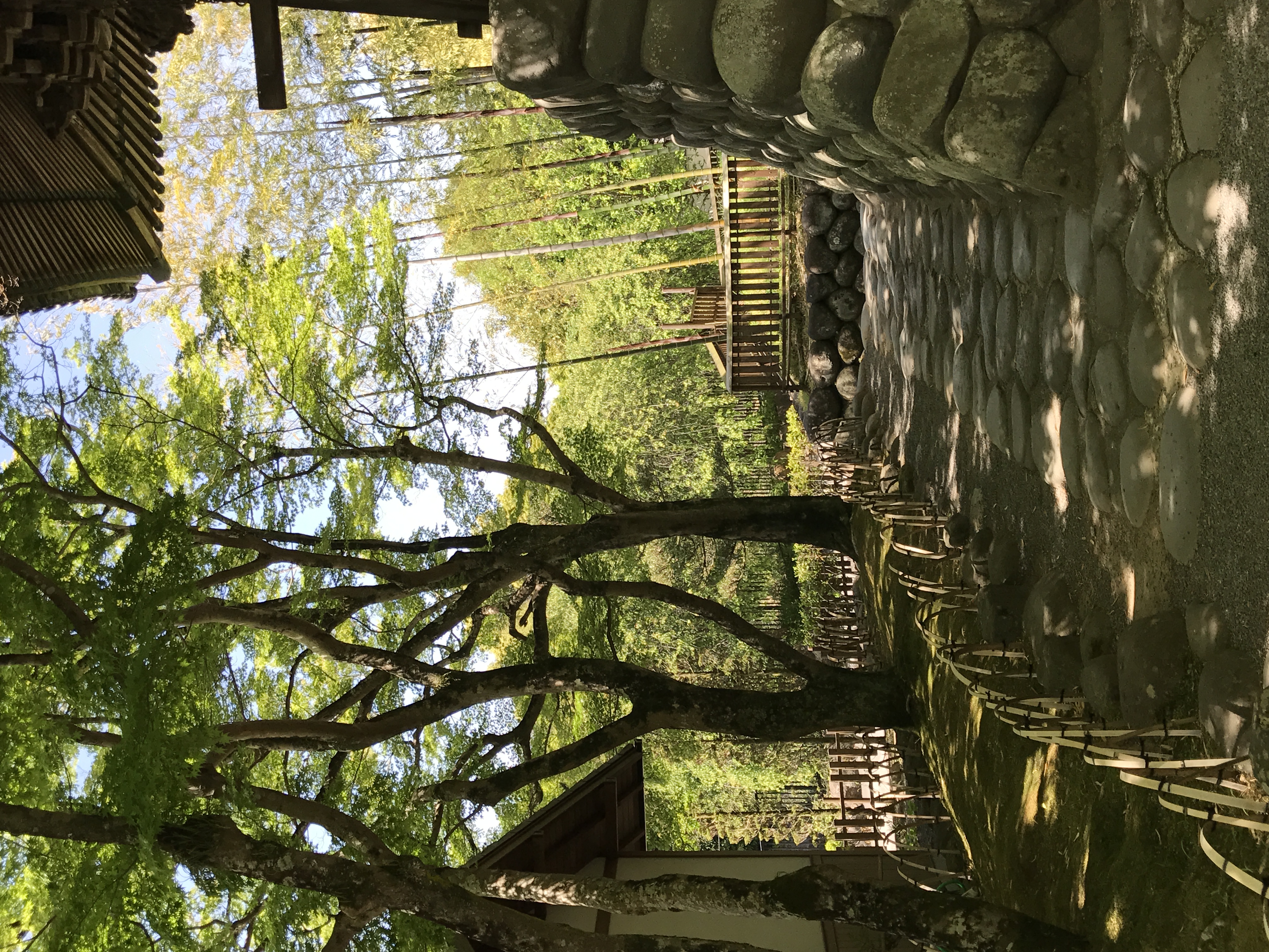 冬の安全運転に必須 タイヤ点検と田子の浦港SSのサービス紹介🛞