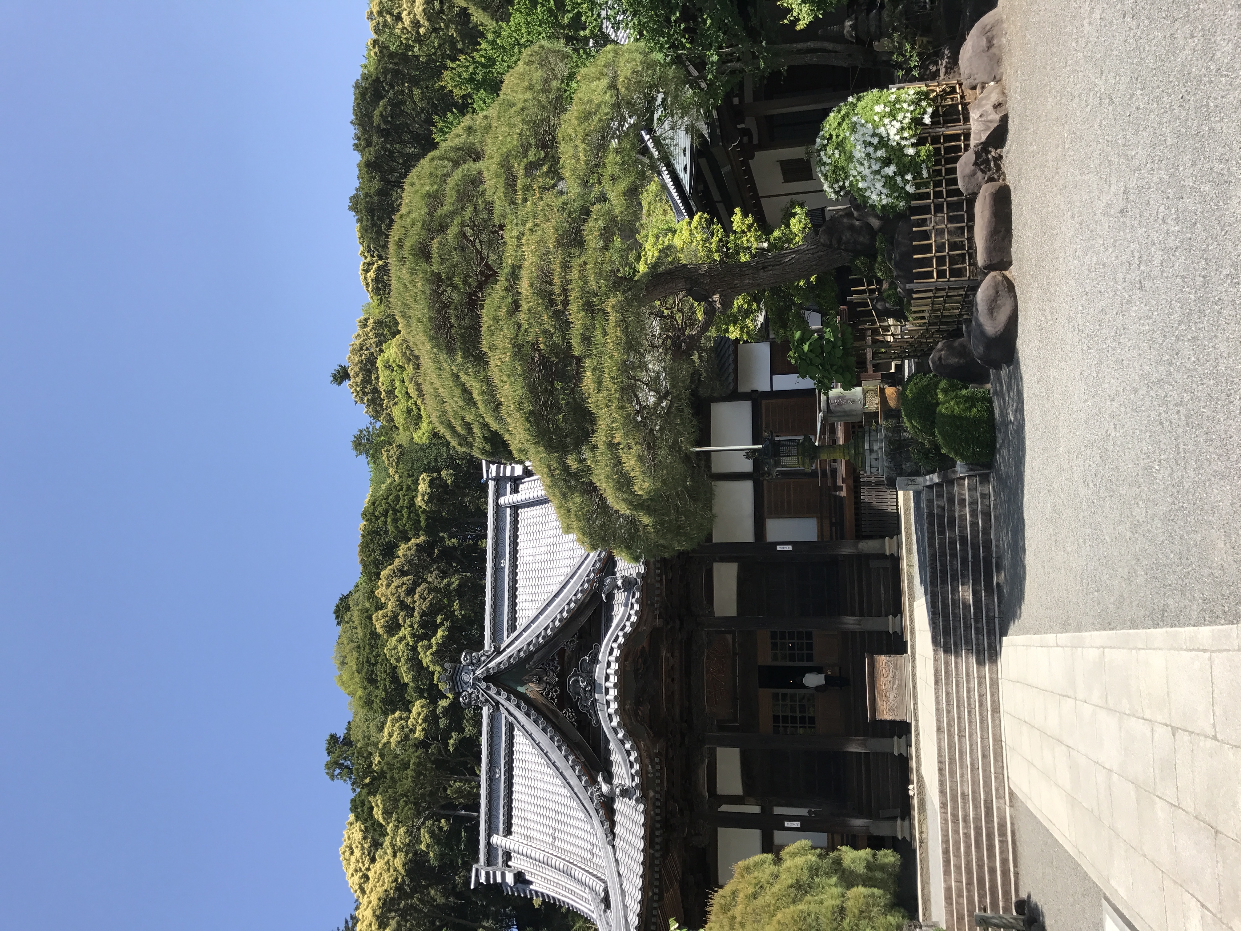 春のドライブ前にチェックしたいタイヤと車のメンテナンス🚗