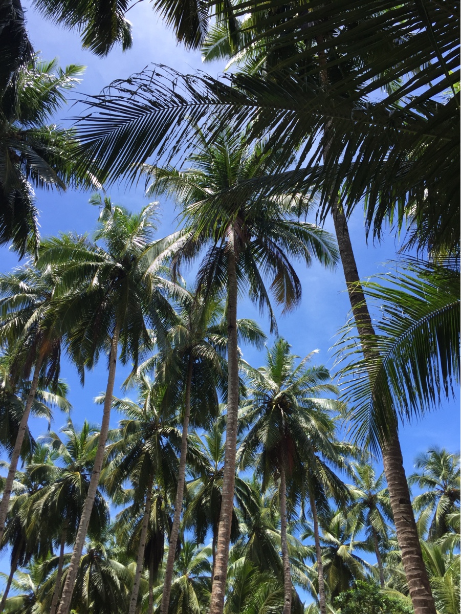 秋冬のタイヤ点検ポイントと田子の浦港SSの安心サポート🚗