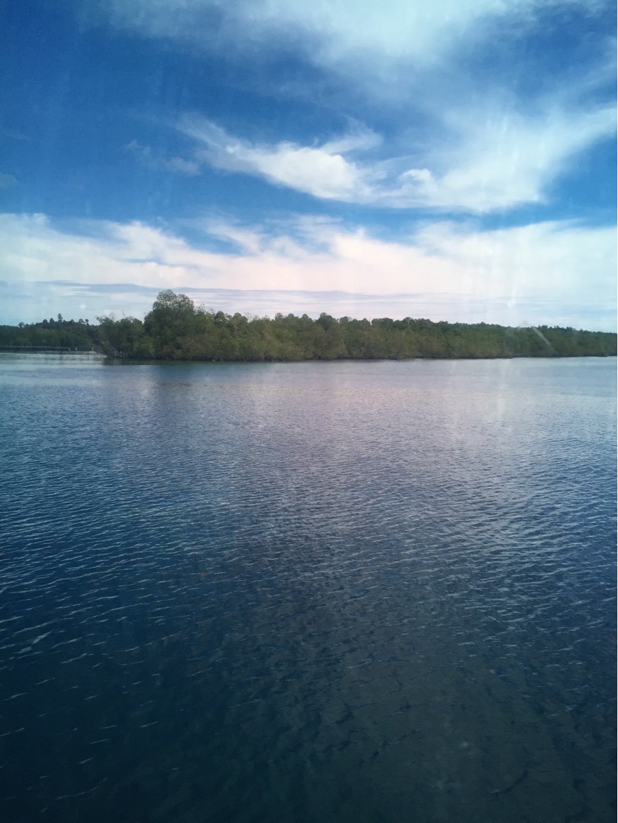 秋のタイヤ点検で安全ドライブをサポートします🍁田子の浦港SS