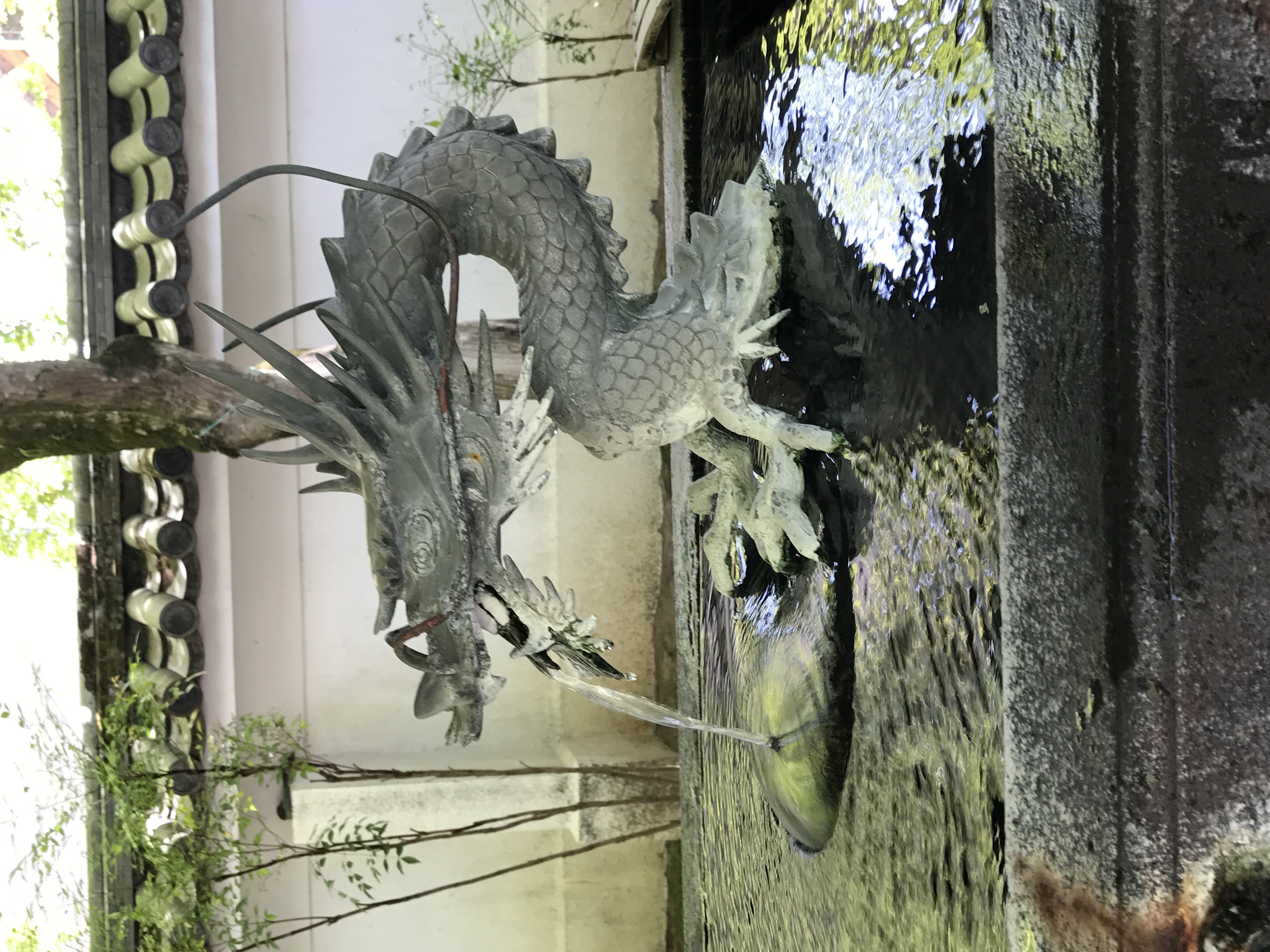 春のドライブ前にチェックしたいタイヤと点検のポイント🚗