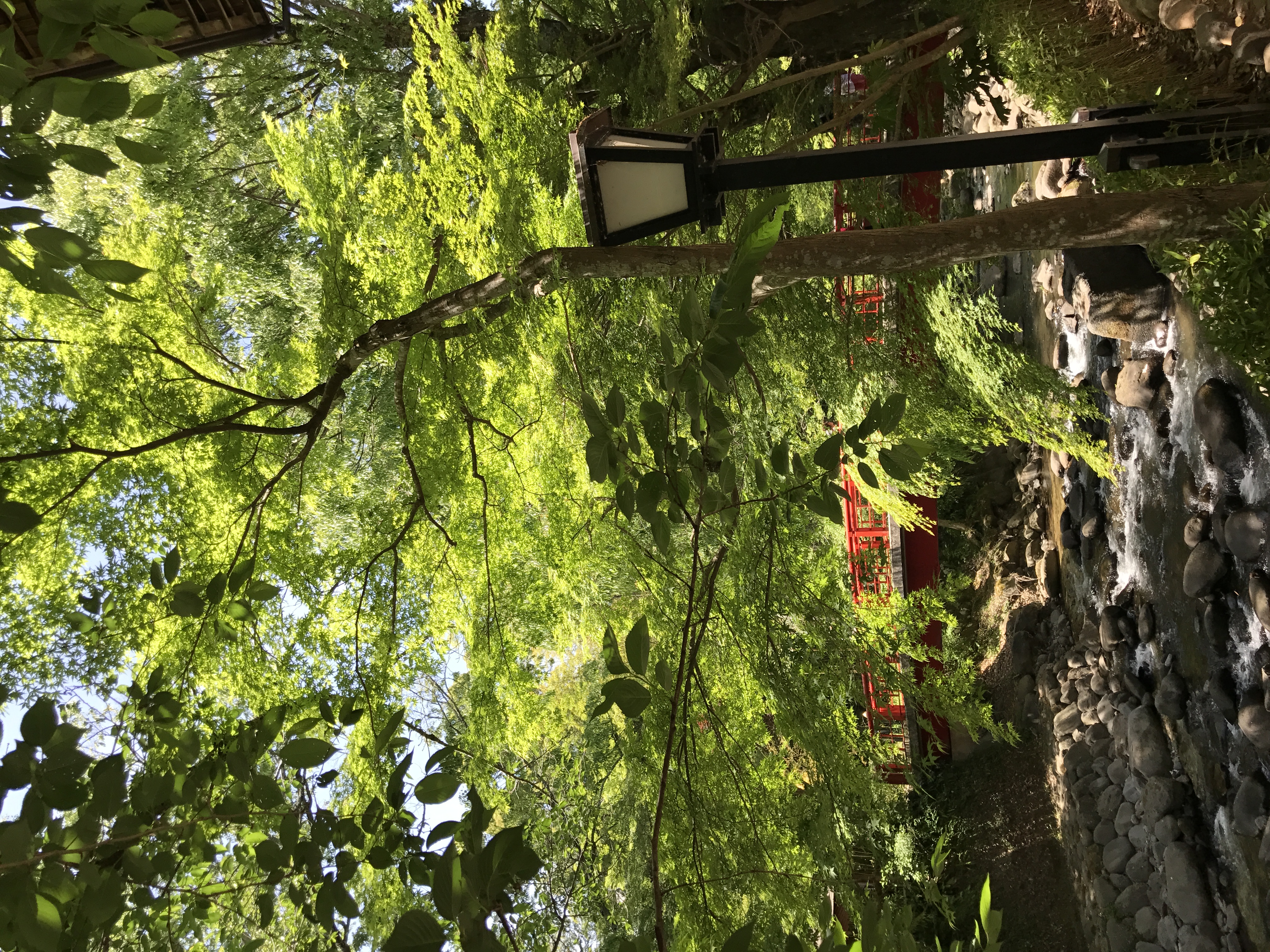 春のドライブ前に愛車のタイヤ点検を無料でチェックしよう🚗｜田子の浦港SS｜202603160958