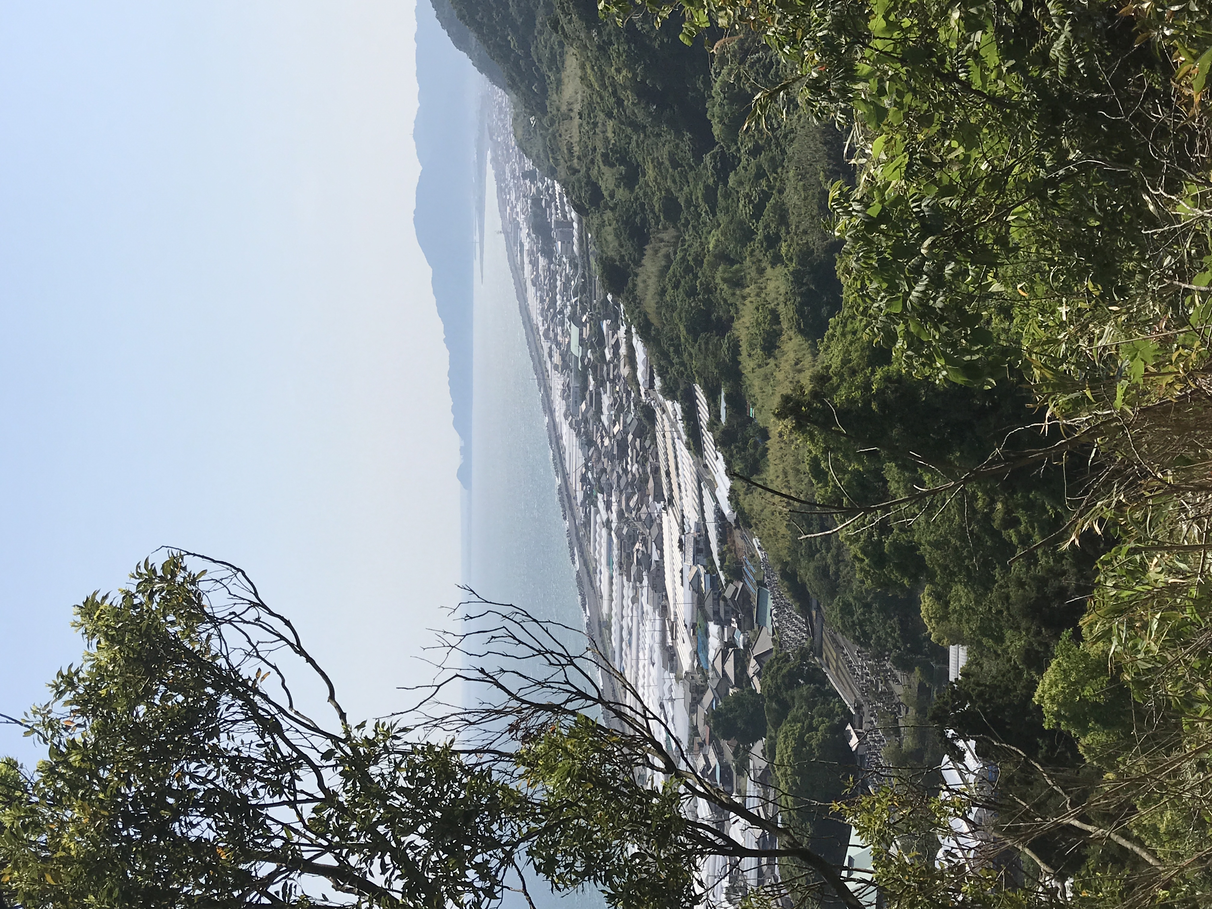 春のドライブ前にチェックしたいタイヤと安全対策ポイント🚗