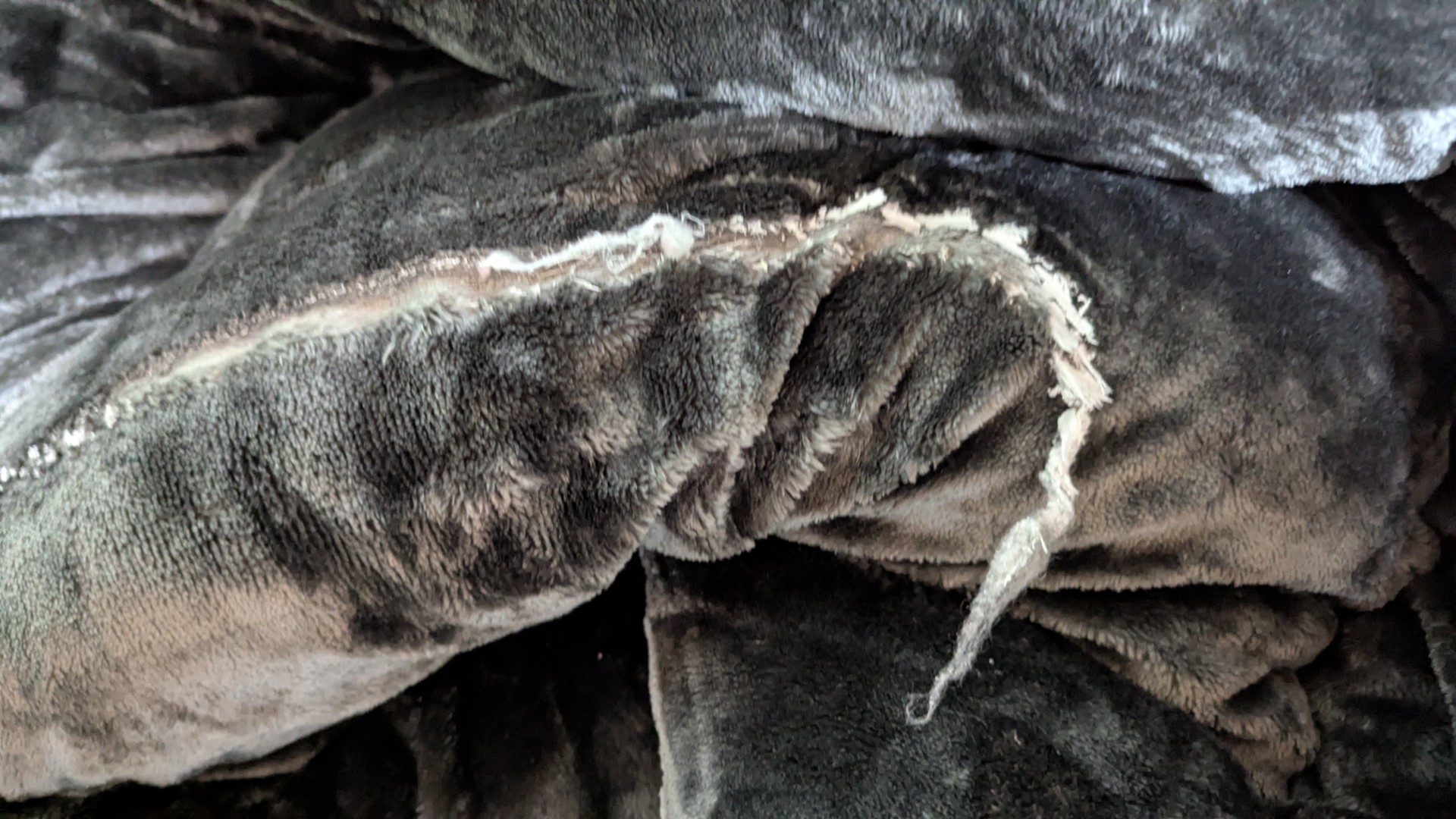 布団洗濯の注意点