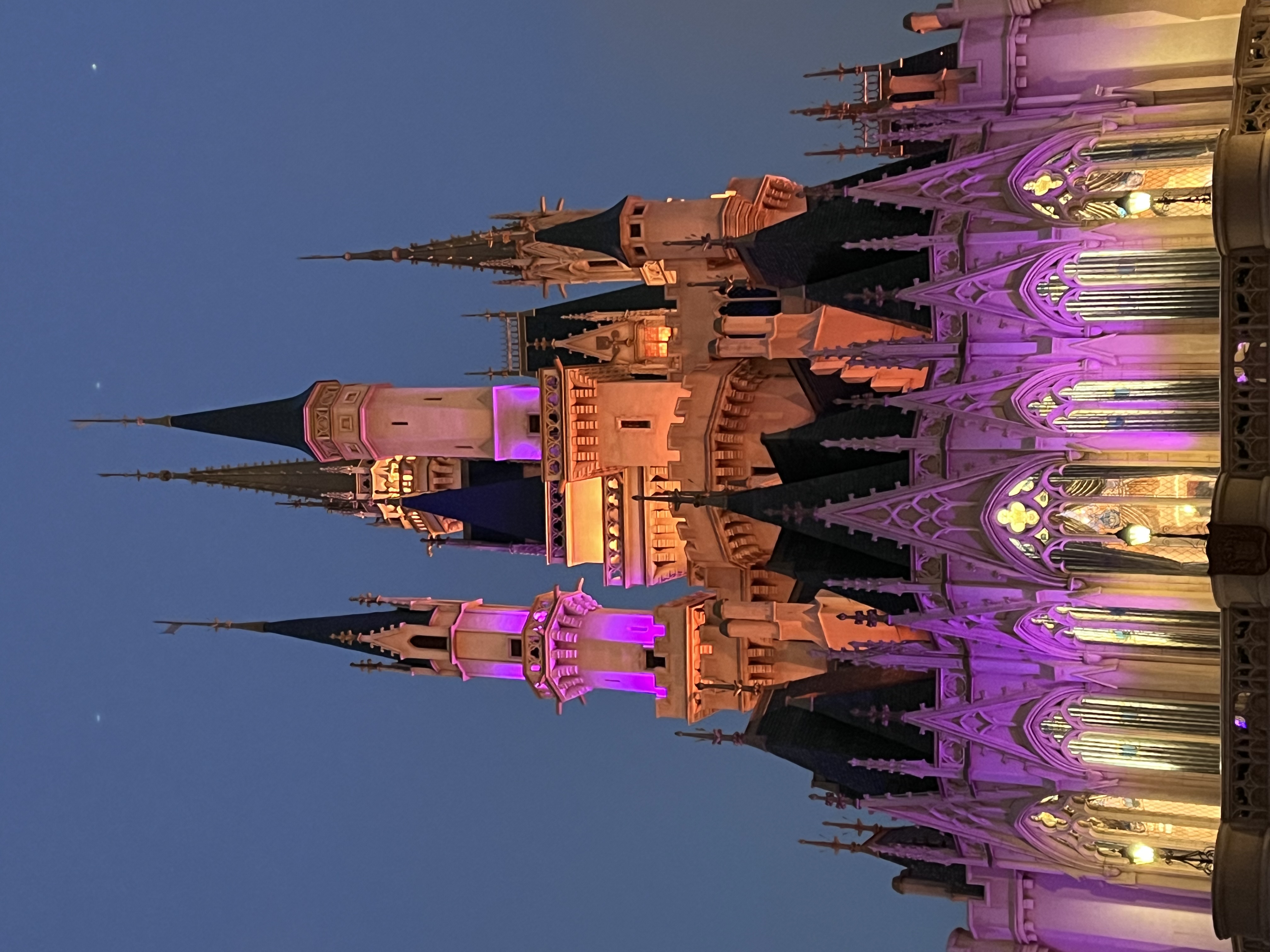 夢の国に行ってきた🐭🏰‪‪