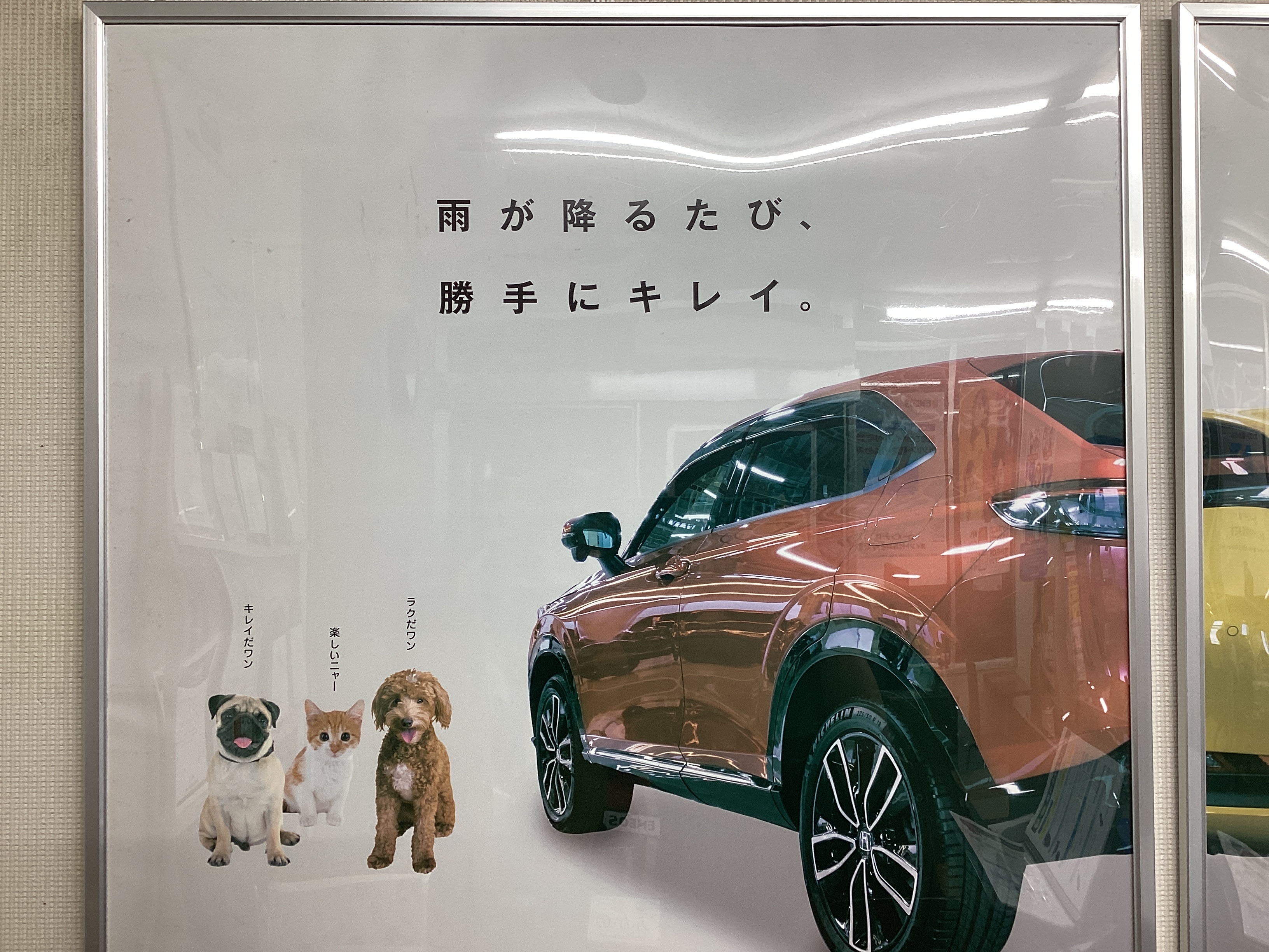 雨の日の車メンテナンスポイントと無料タイヤ点検のすすめ🚗