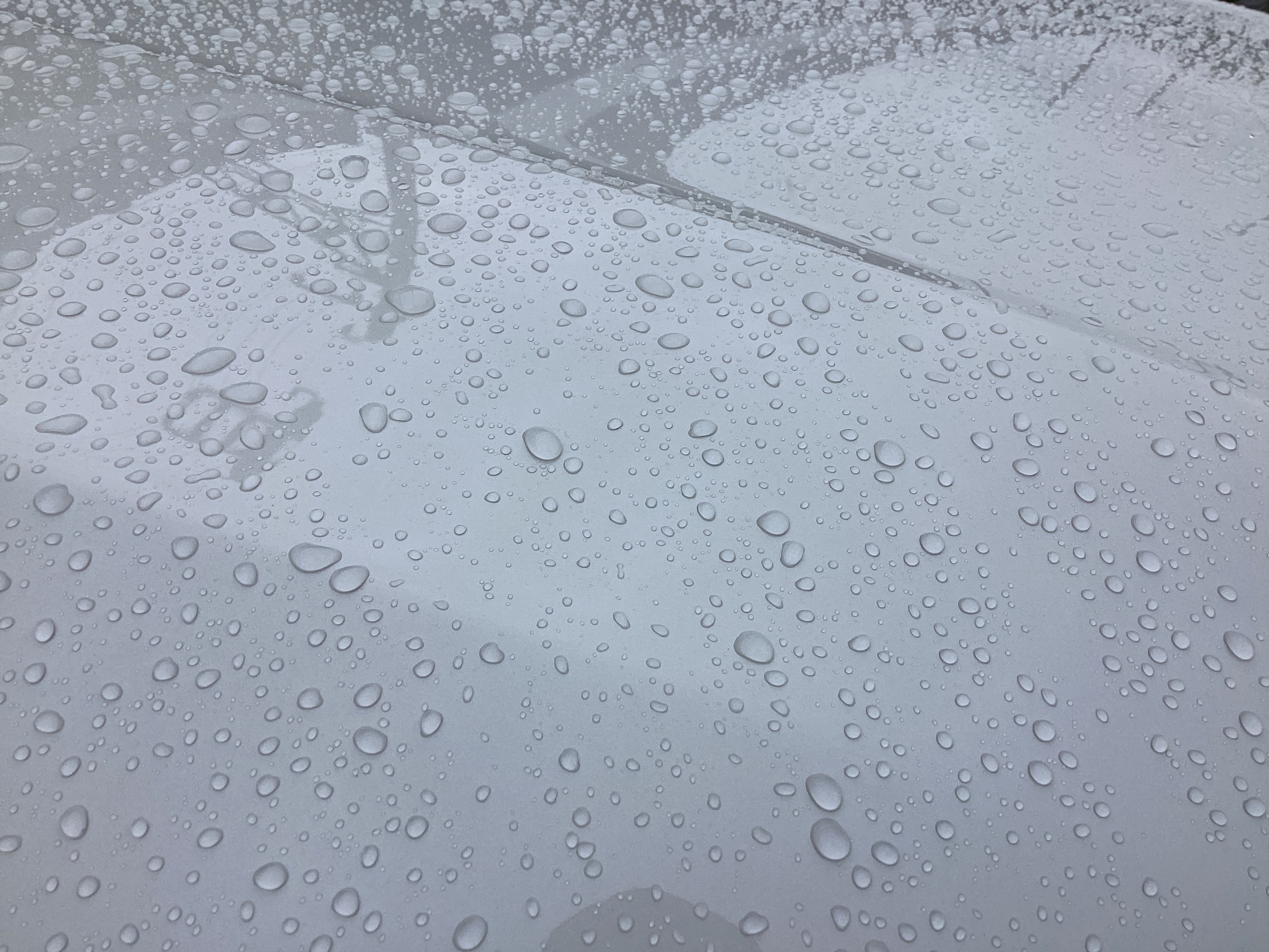 台風前にチェックしたい車の点検ポイントとお得な洗車情報🚗