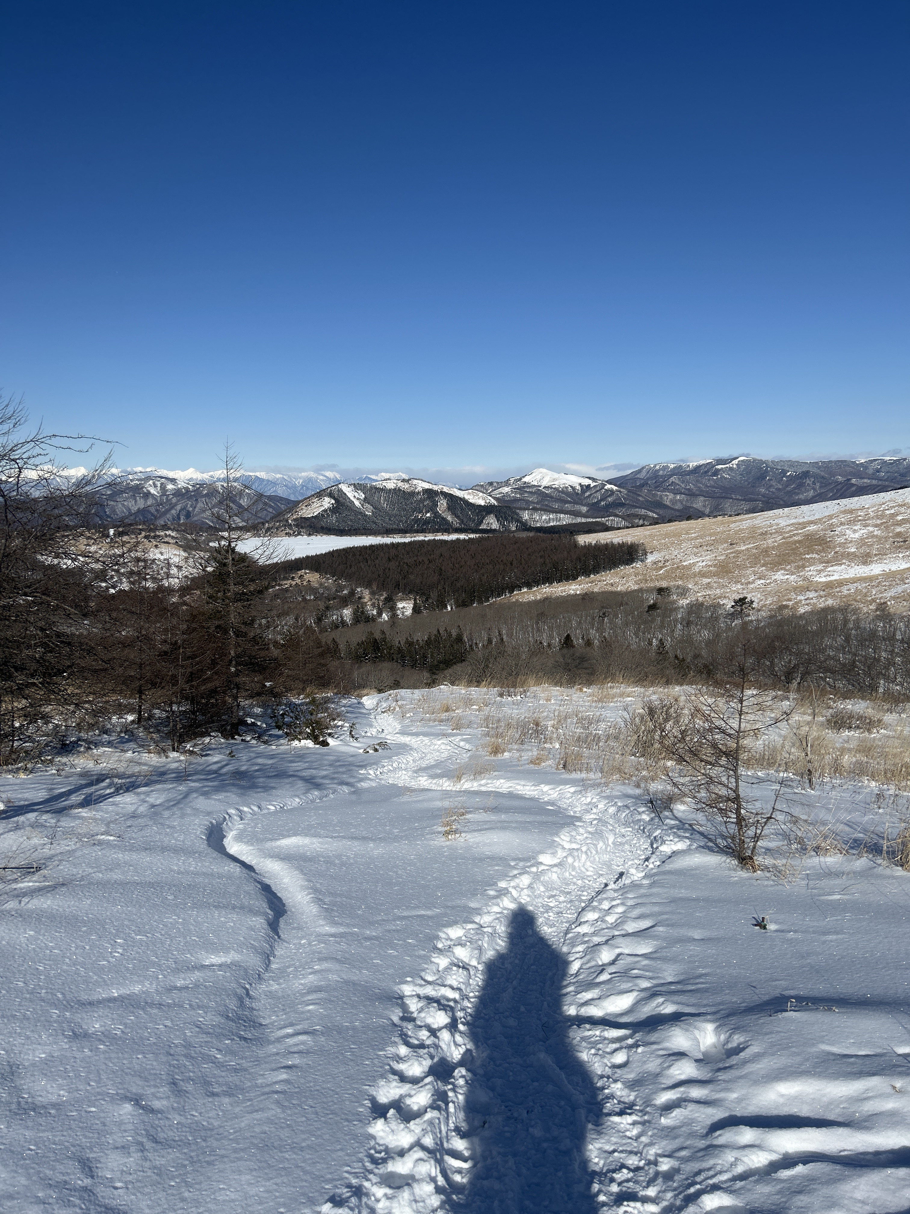 冬の安全ドライブに必須 タイヤ交換と無料点検のポイント❄️