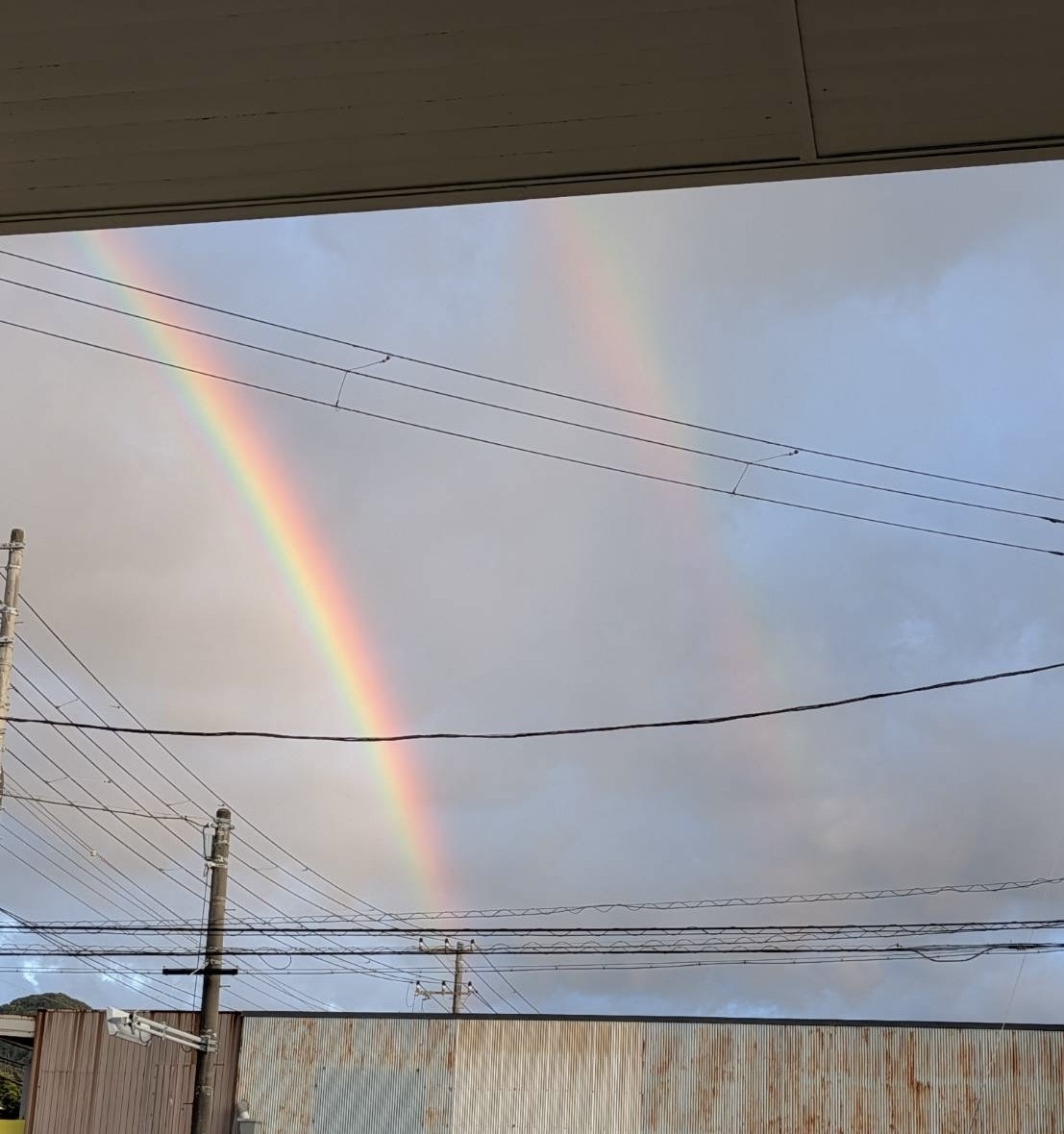 春の車ケアポイントと虹の癒し体験を沼津下香貫SSで🌈