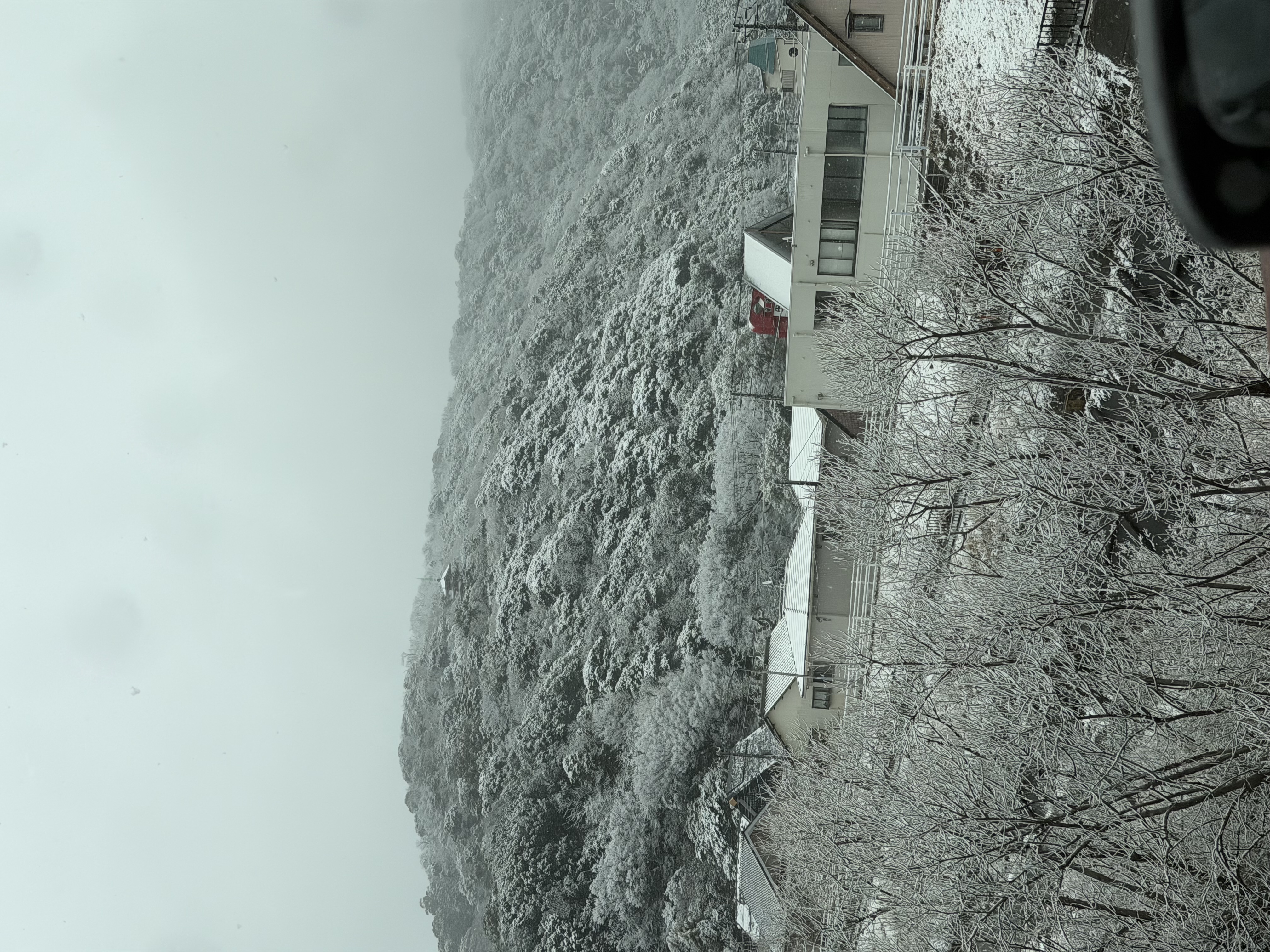 沼津下香貫SSの冬の車検とタイヤ点検で安心ドライブ❄️