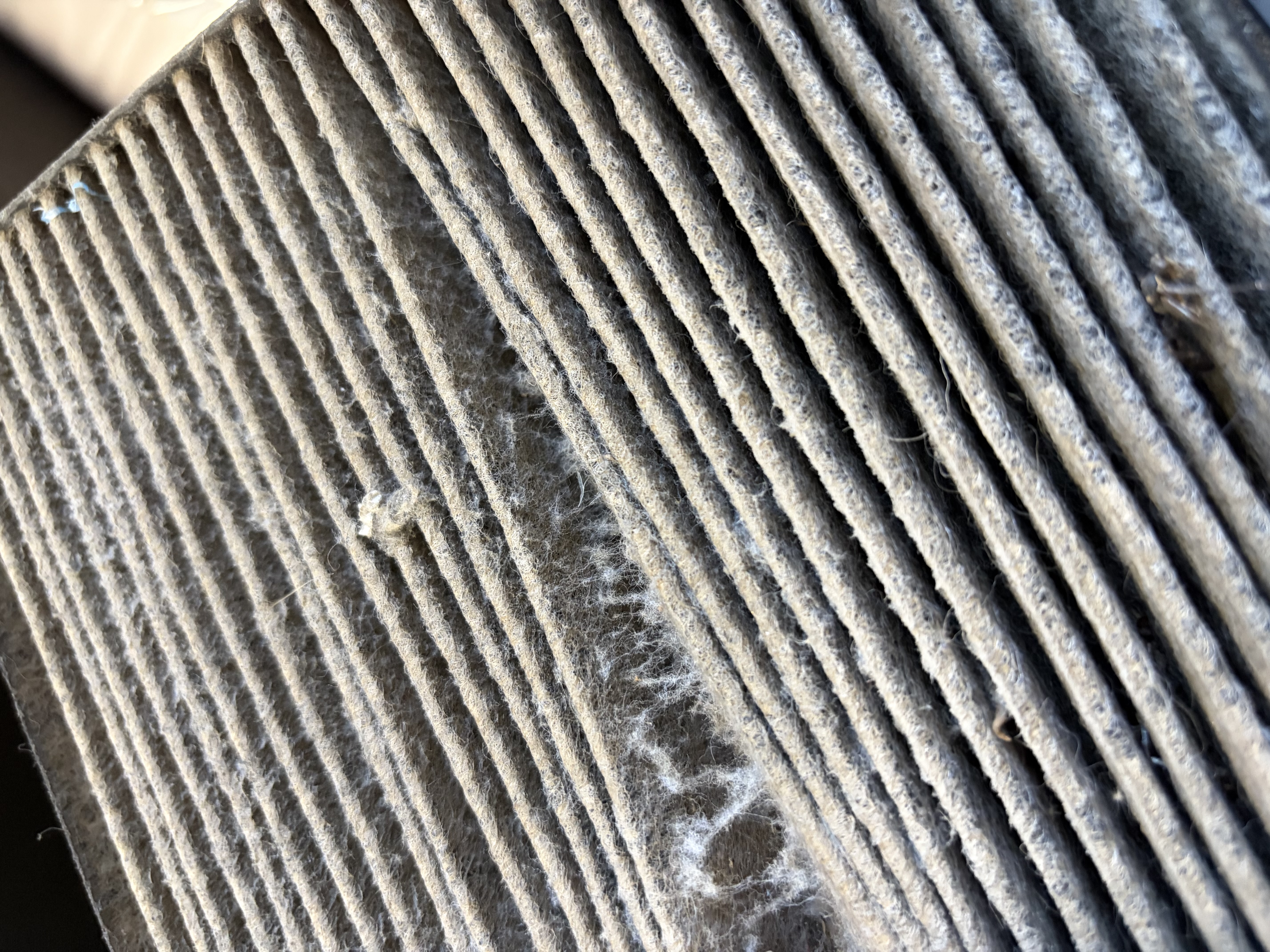 春の車内快適術 エアコンガスとフィルター交換で涼しく🚗