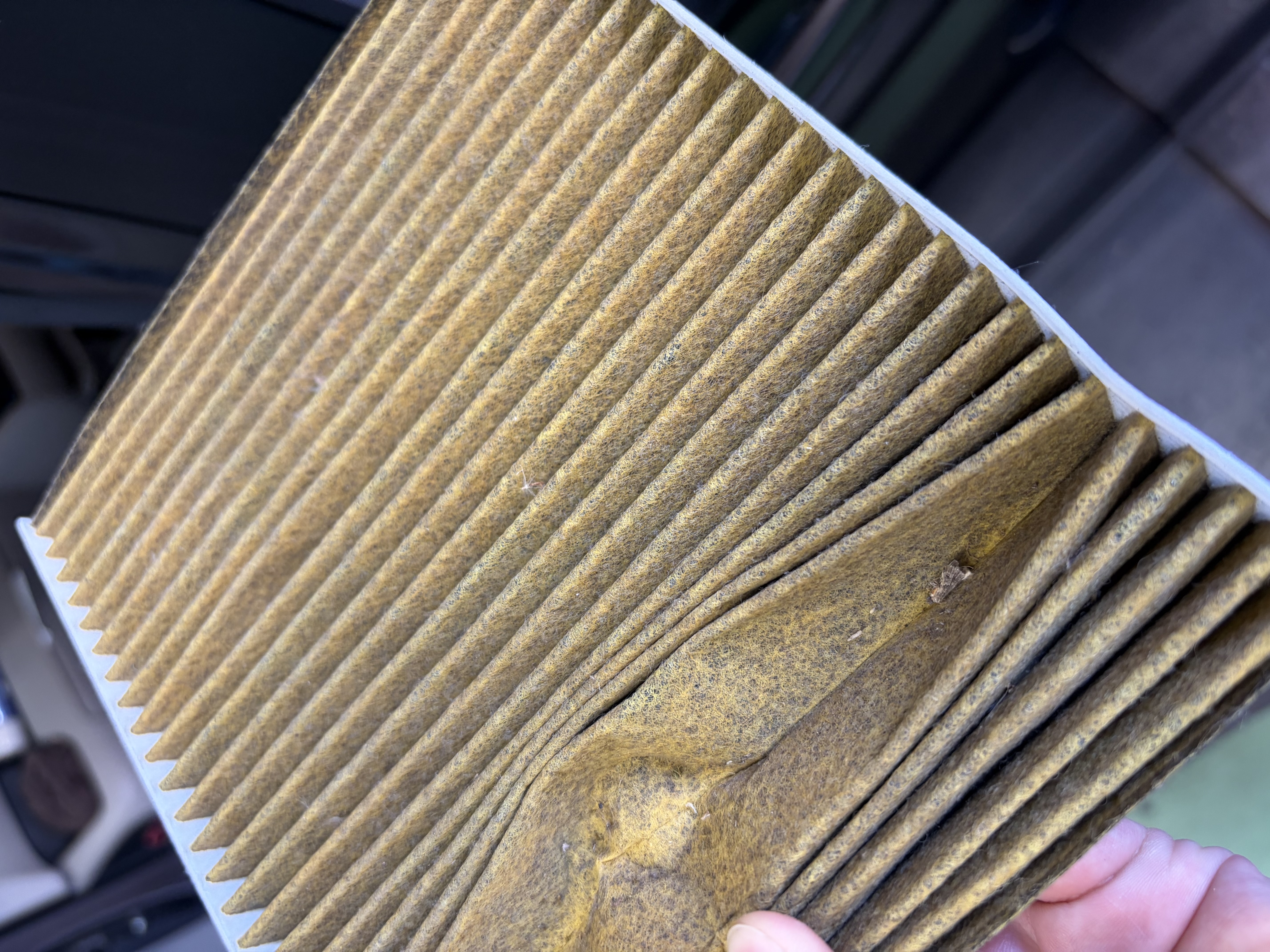 春の快適ドライブに必須 エアコンガスクリーニングのすすめ🌸