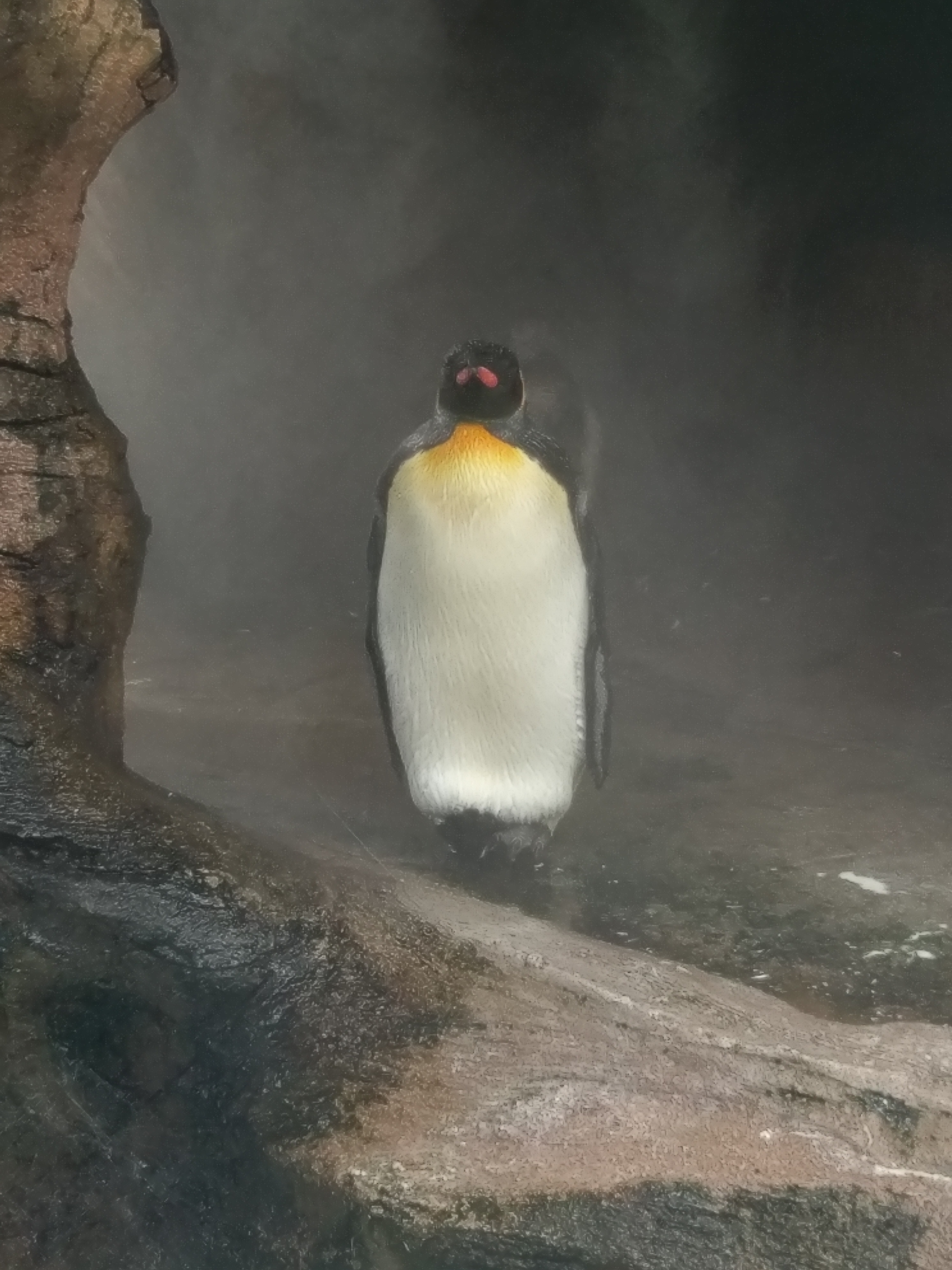 冬の車検と点検で安心ドライブをサポート 富士TSのおすすめケア🚗
