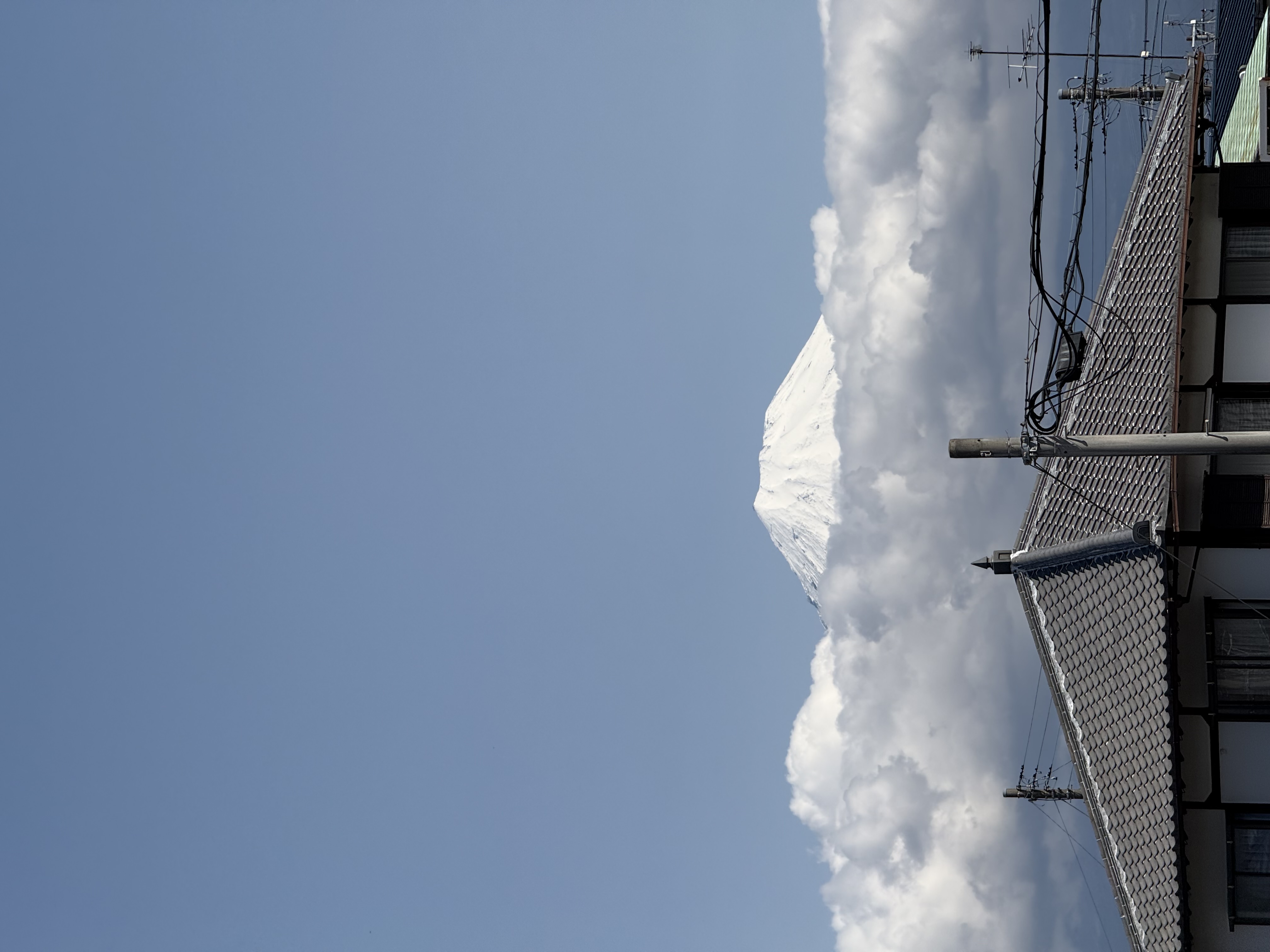 春の車検見積り無料とLINEクーポンでお得な洗車・オイル交換🚗