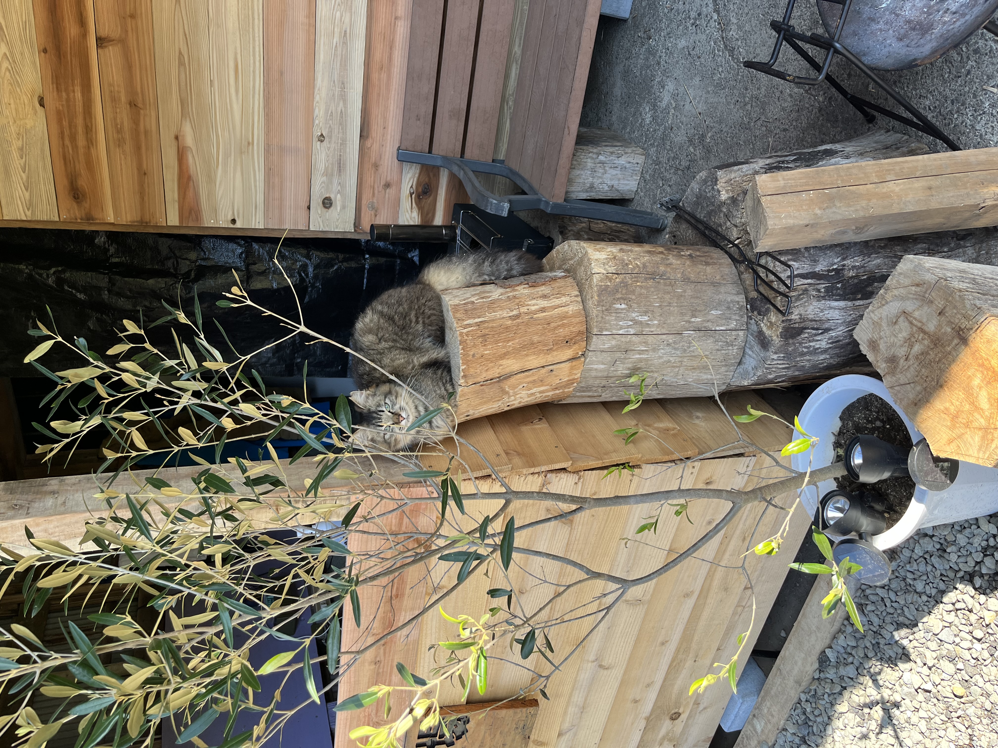 雨の日も安心秋のタイヤ交換と車メンテナンスポイント🚗