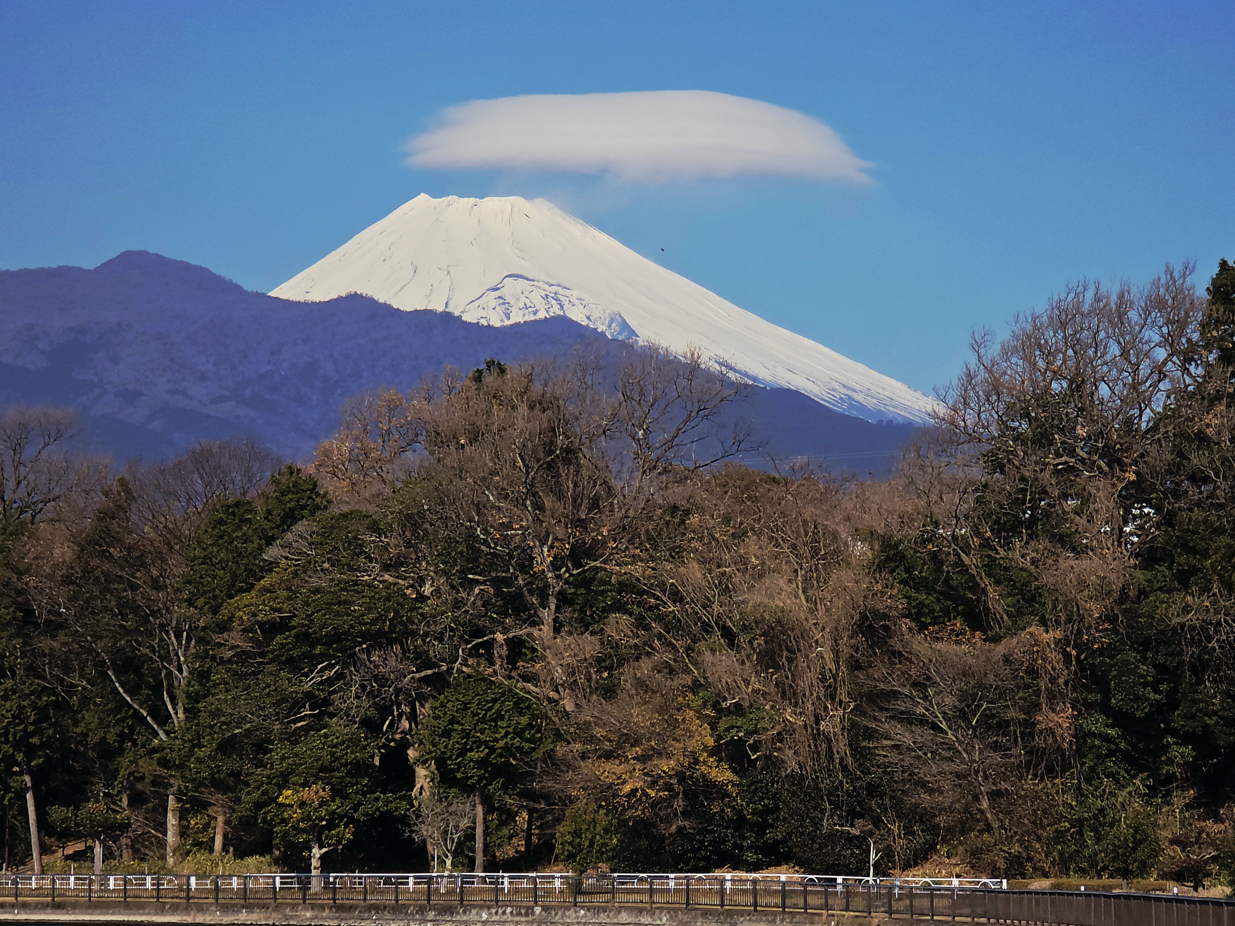 明けましておめでとうございます