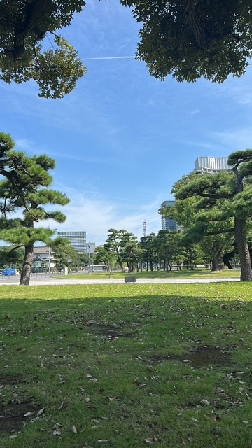 夏の快適ドライブに必須エアコンクリーニングと半額オイル交換キャンペーン🚗