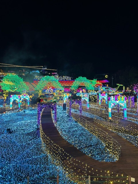 秋冬の愛車メンテは手洗い洗車とコーティングで快適に🚗