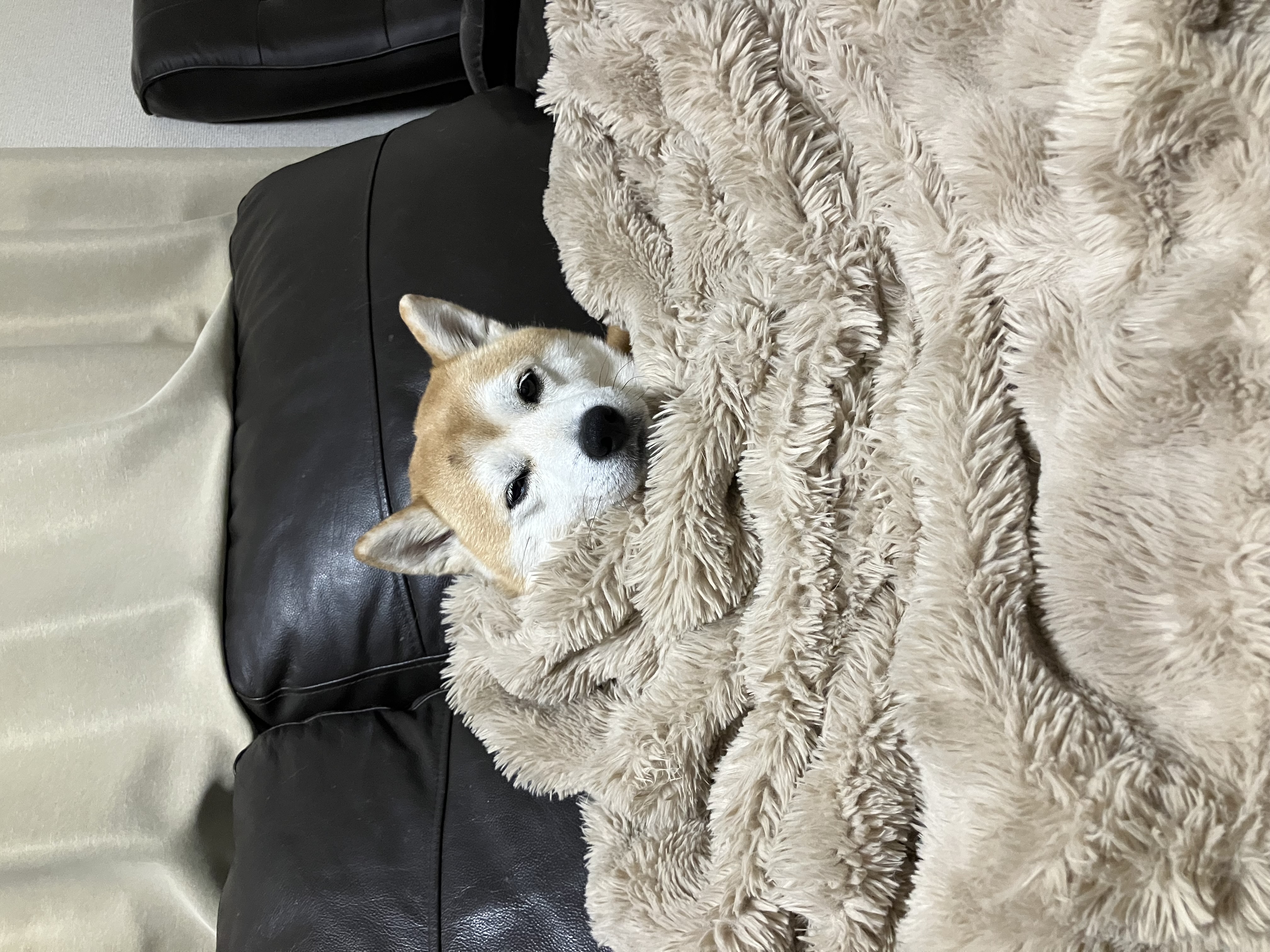 安心メンテナンス❄️