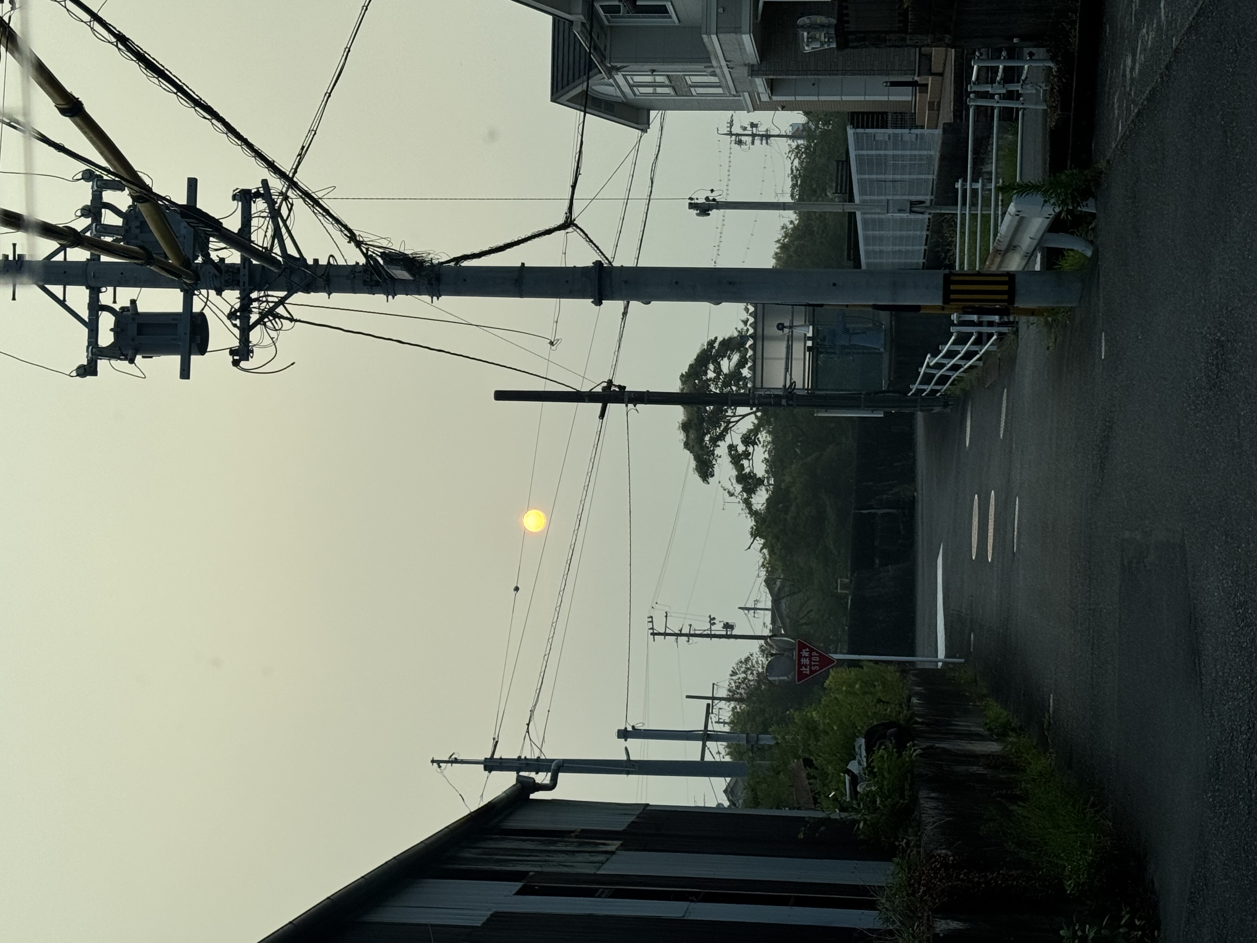 朝
