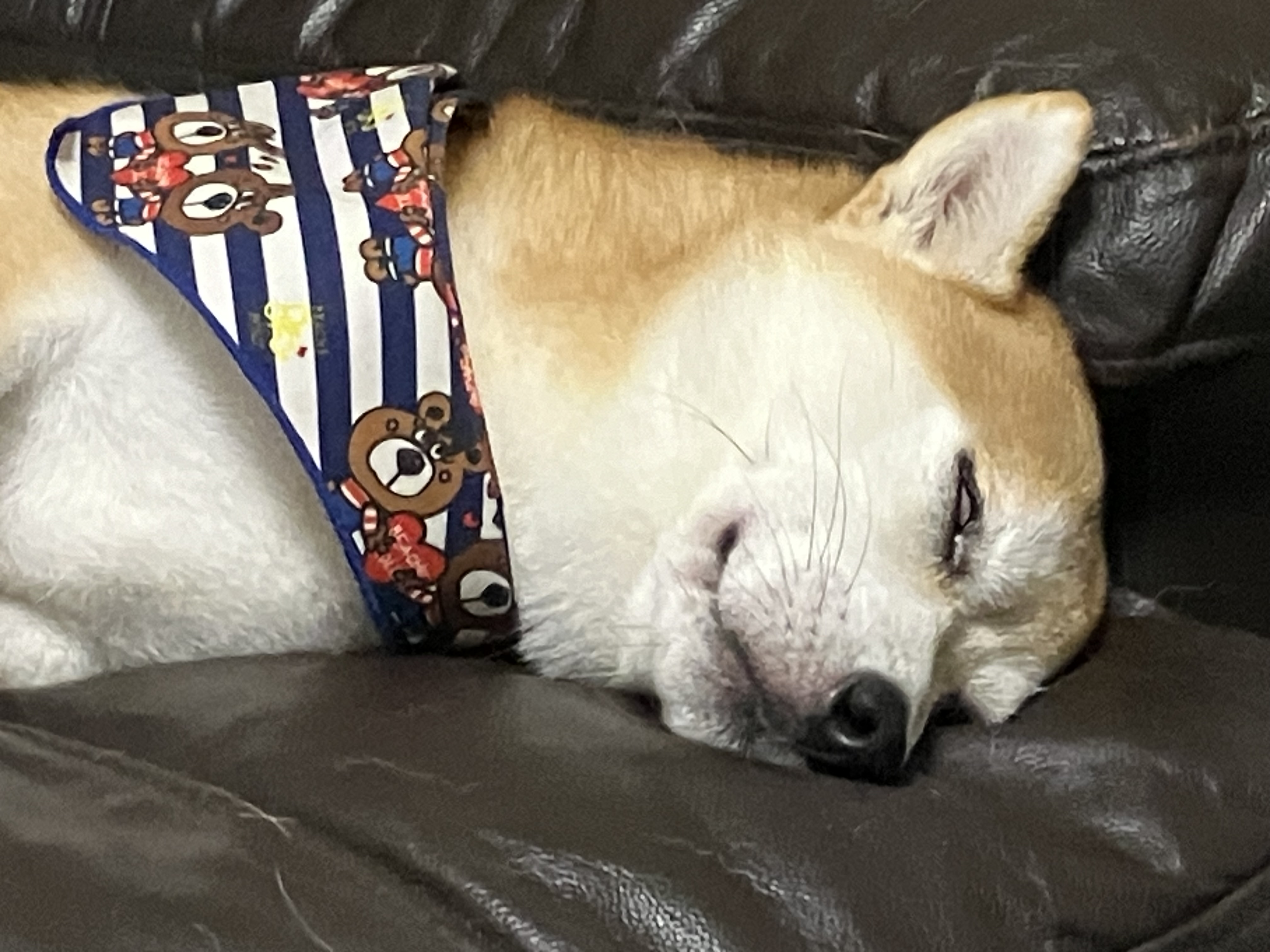 昼寝