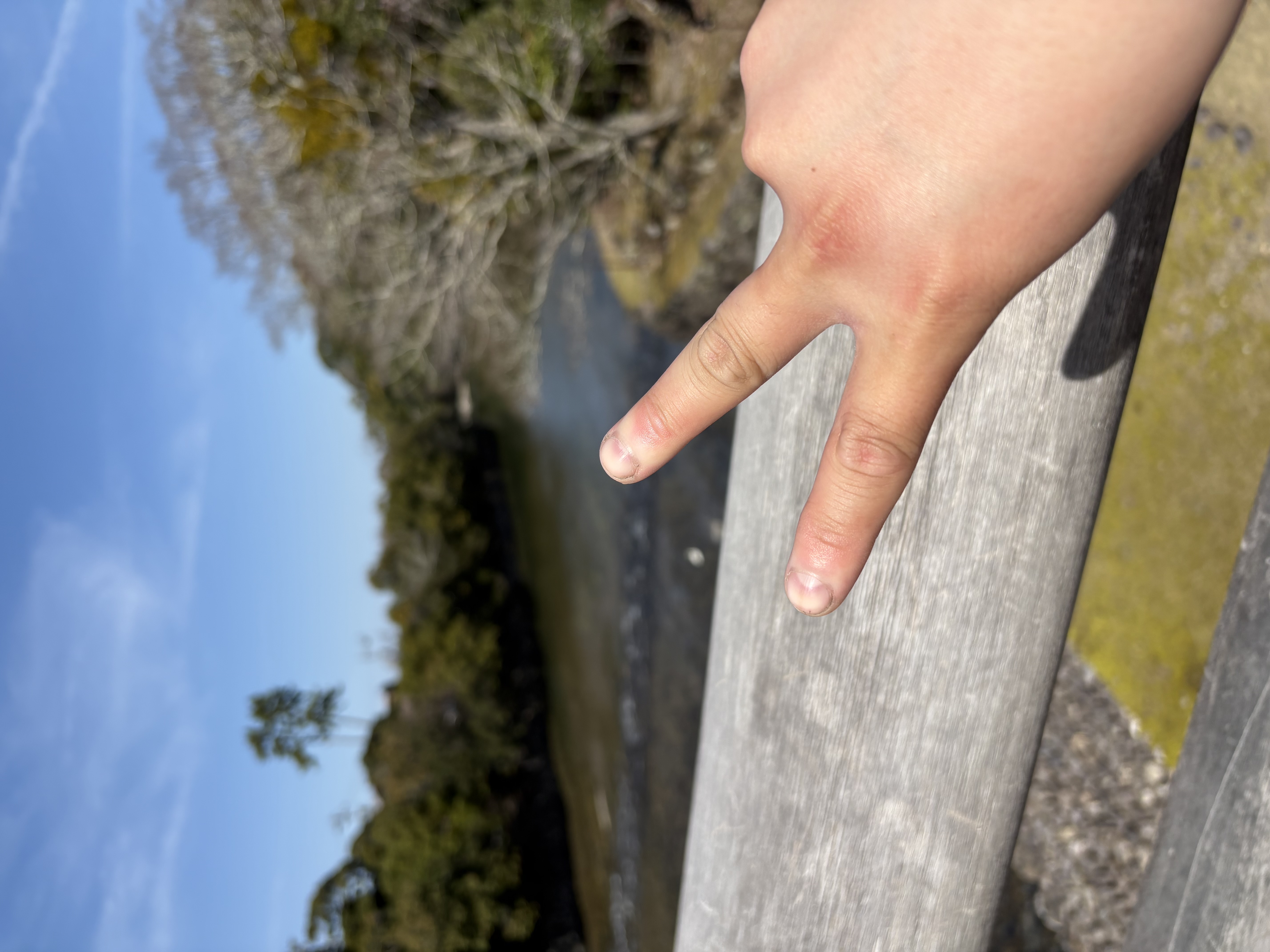 春のドライブ応援ガソリンスタンドの洗車＆点検ポイント🚗