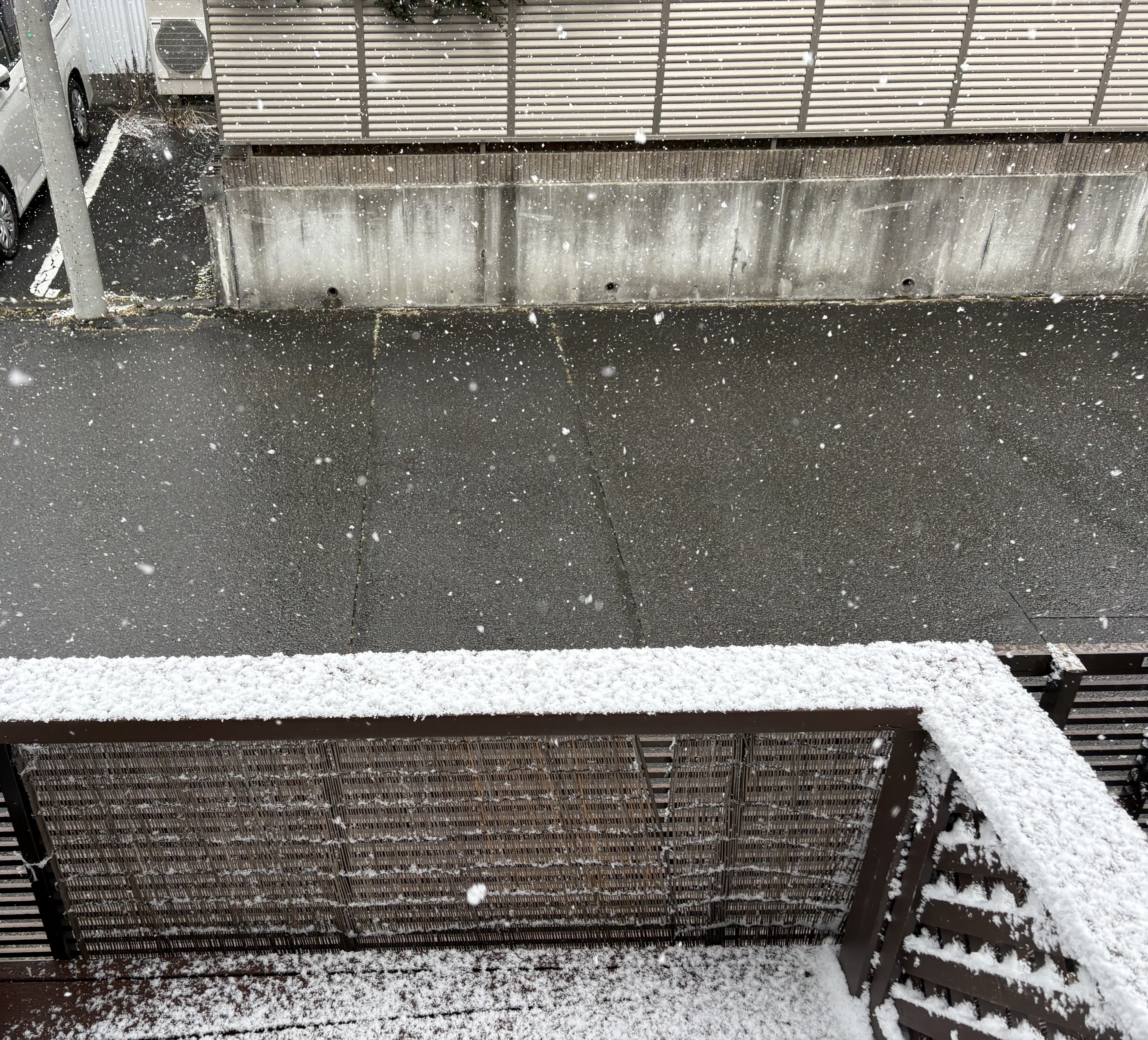 静岡の雪体験と冬の車ケアポイントをDr.Drive清水TSでチェック⛄