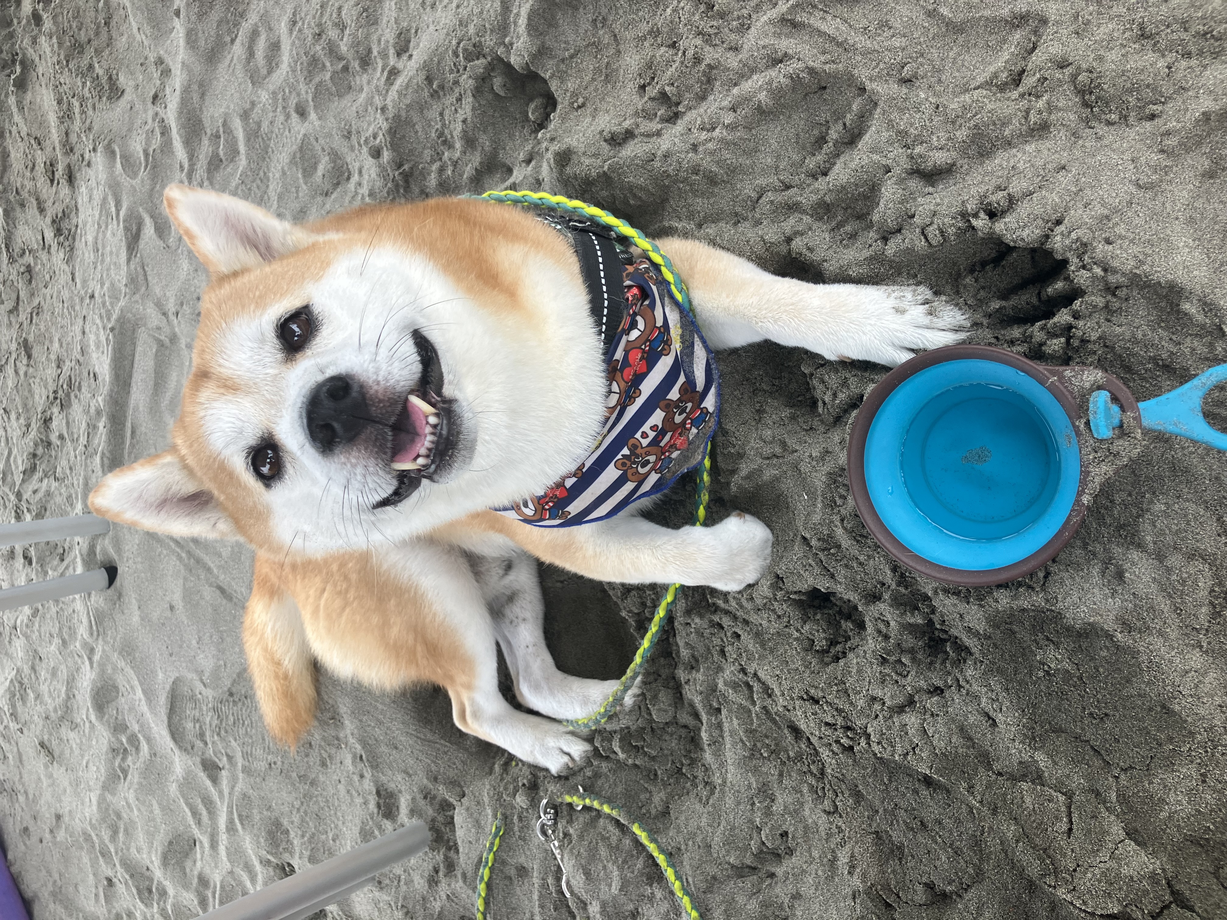 海遊び