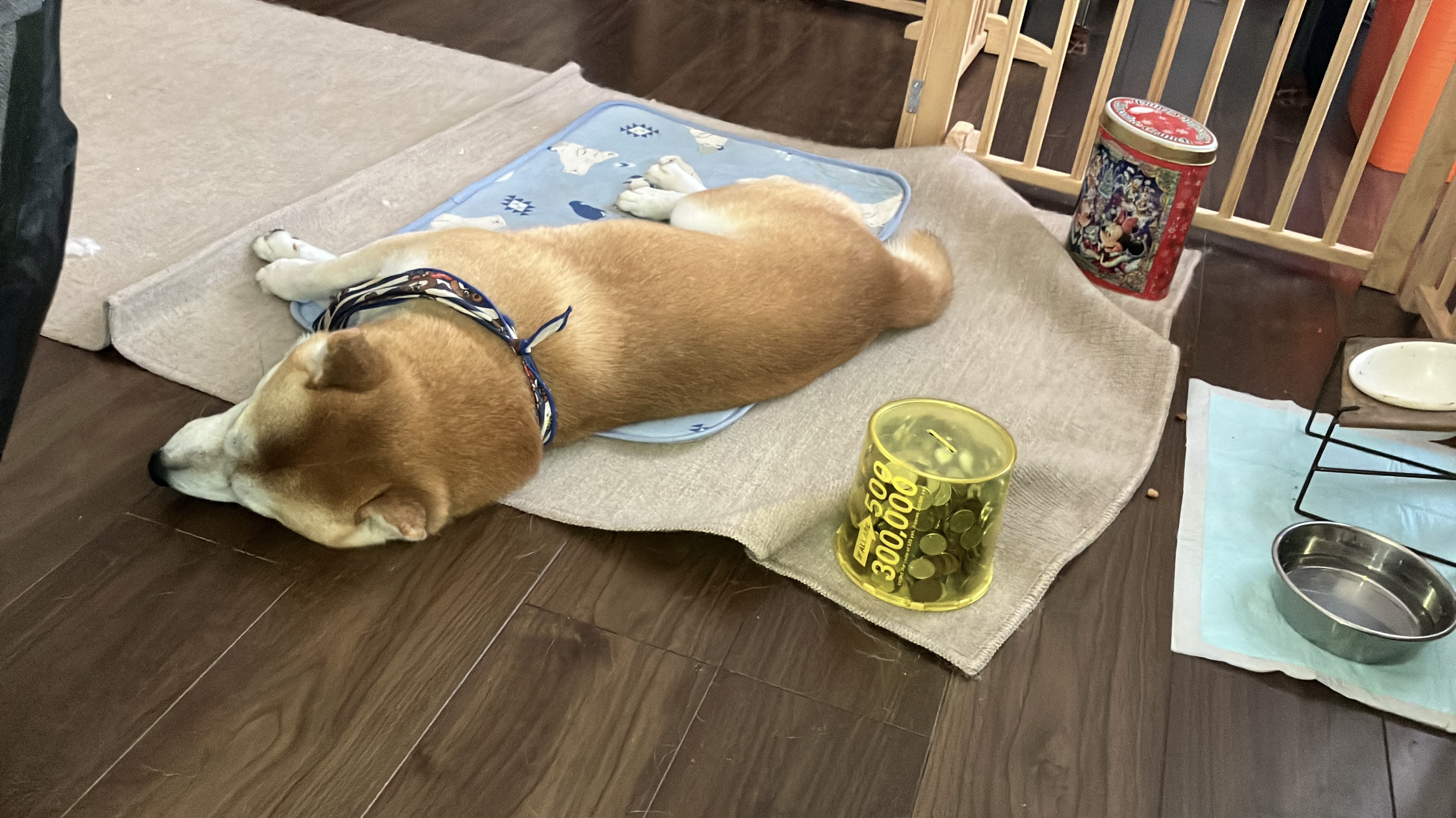 ダルい