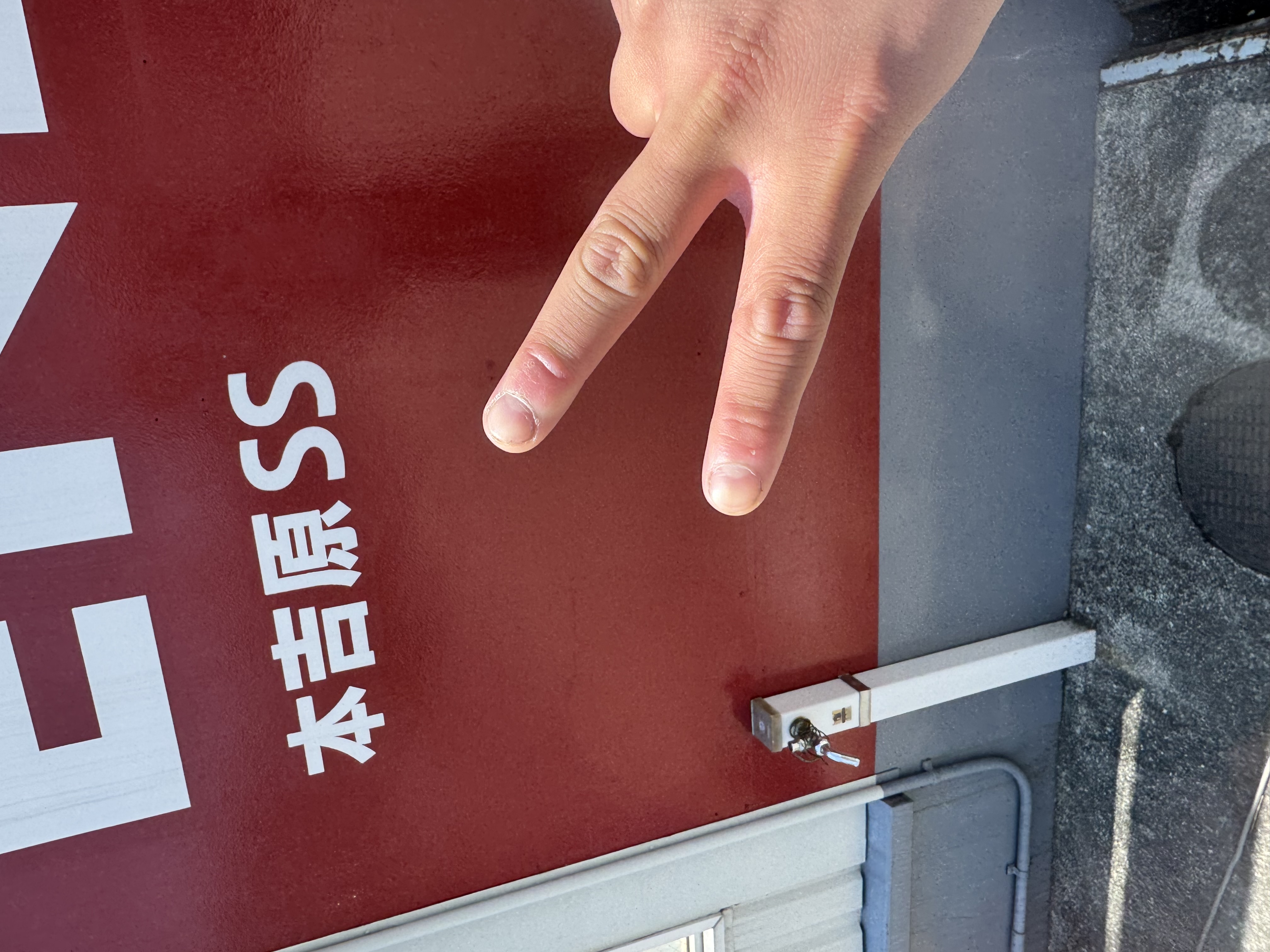会いに行ってきました