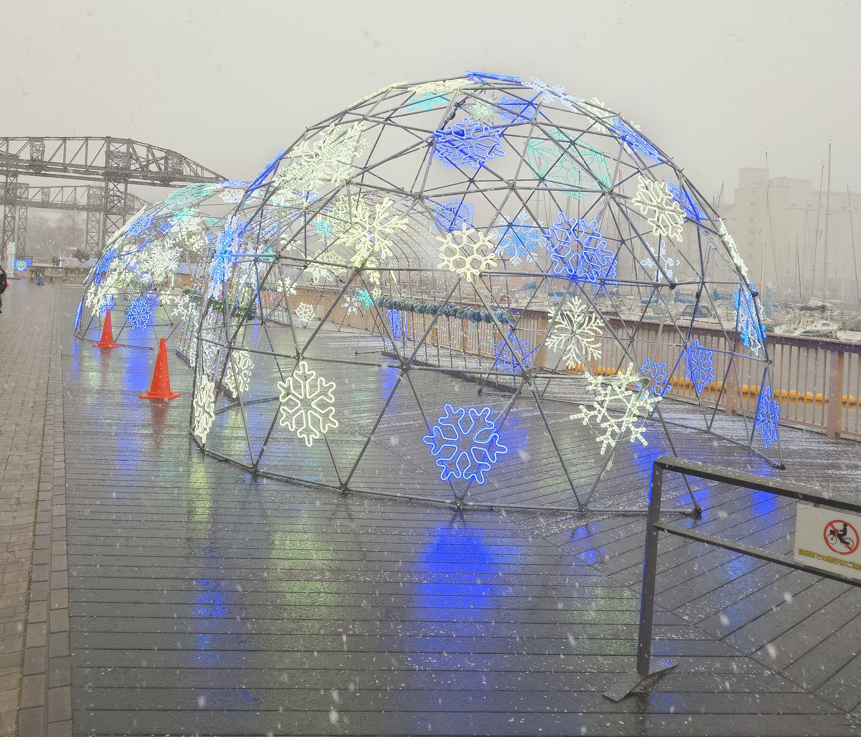 キラキラしてました。