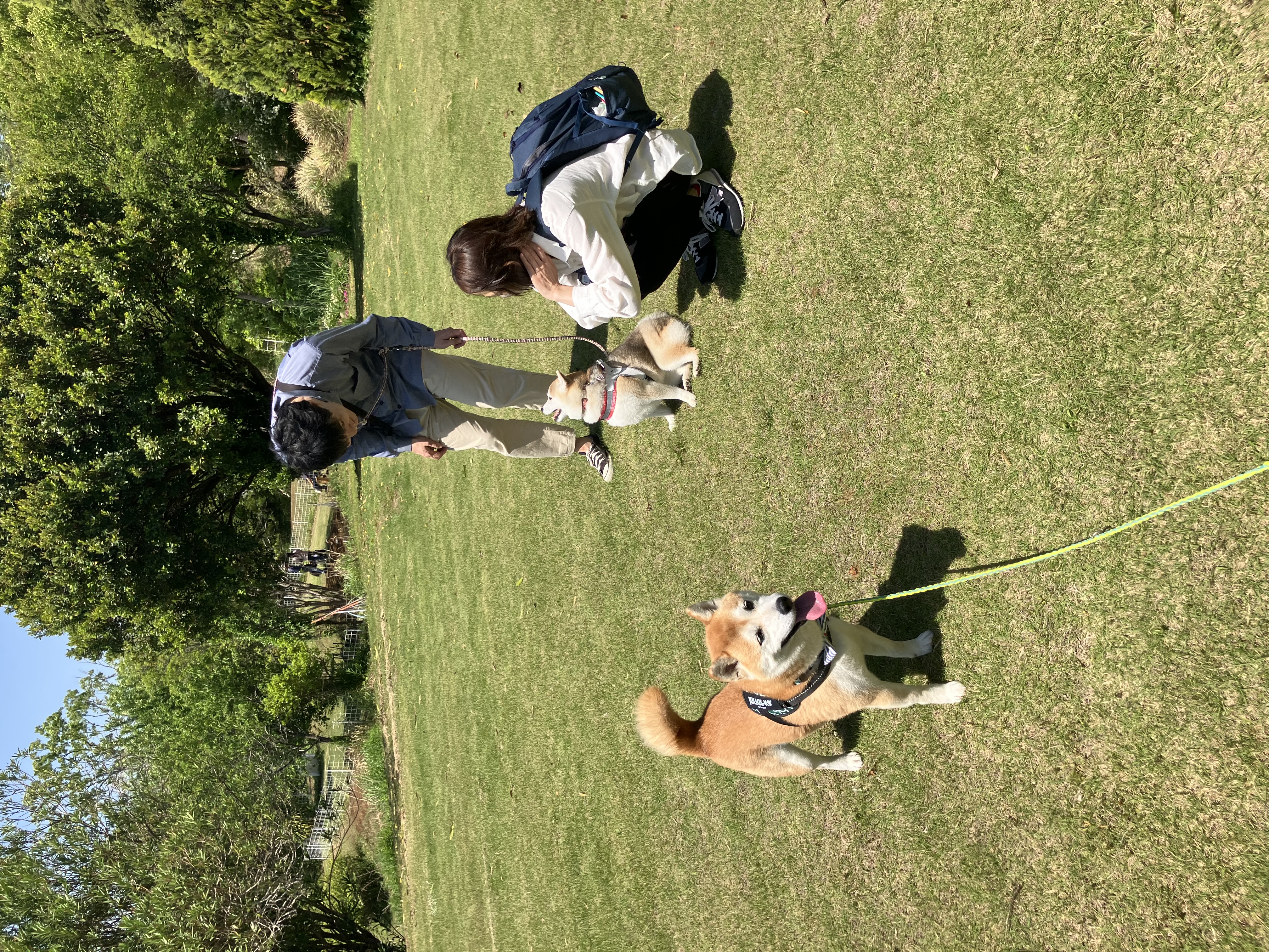 ドライブ