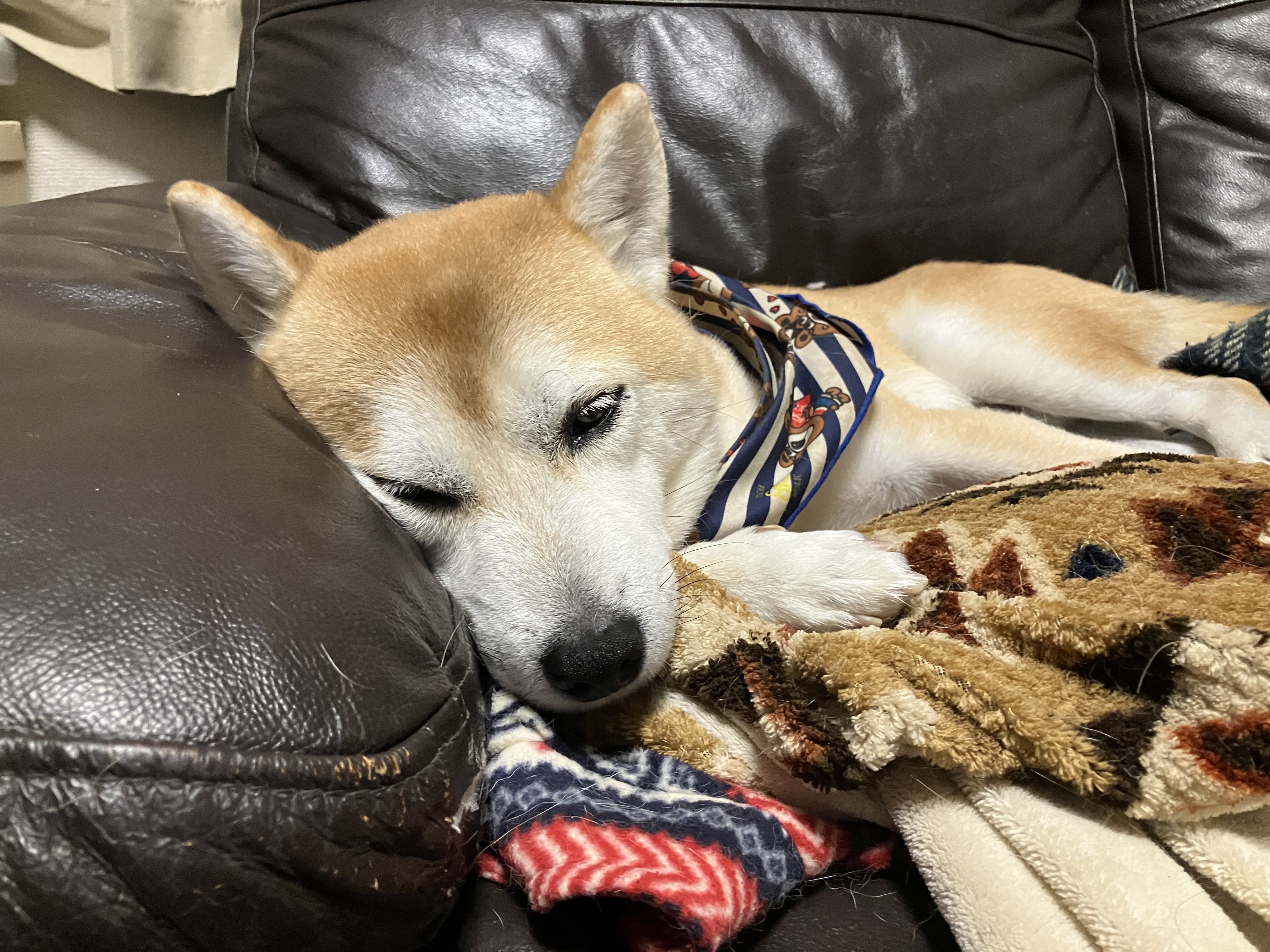 年末年始の車トラブル対策と洗車で安心ドライブを楽しもう🚗✨