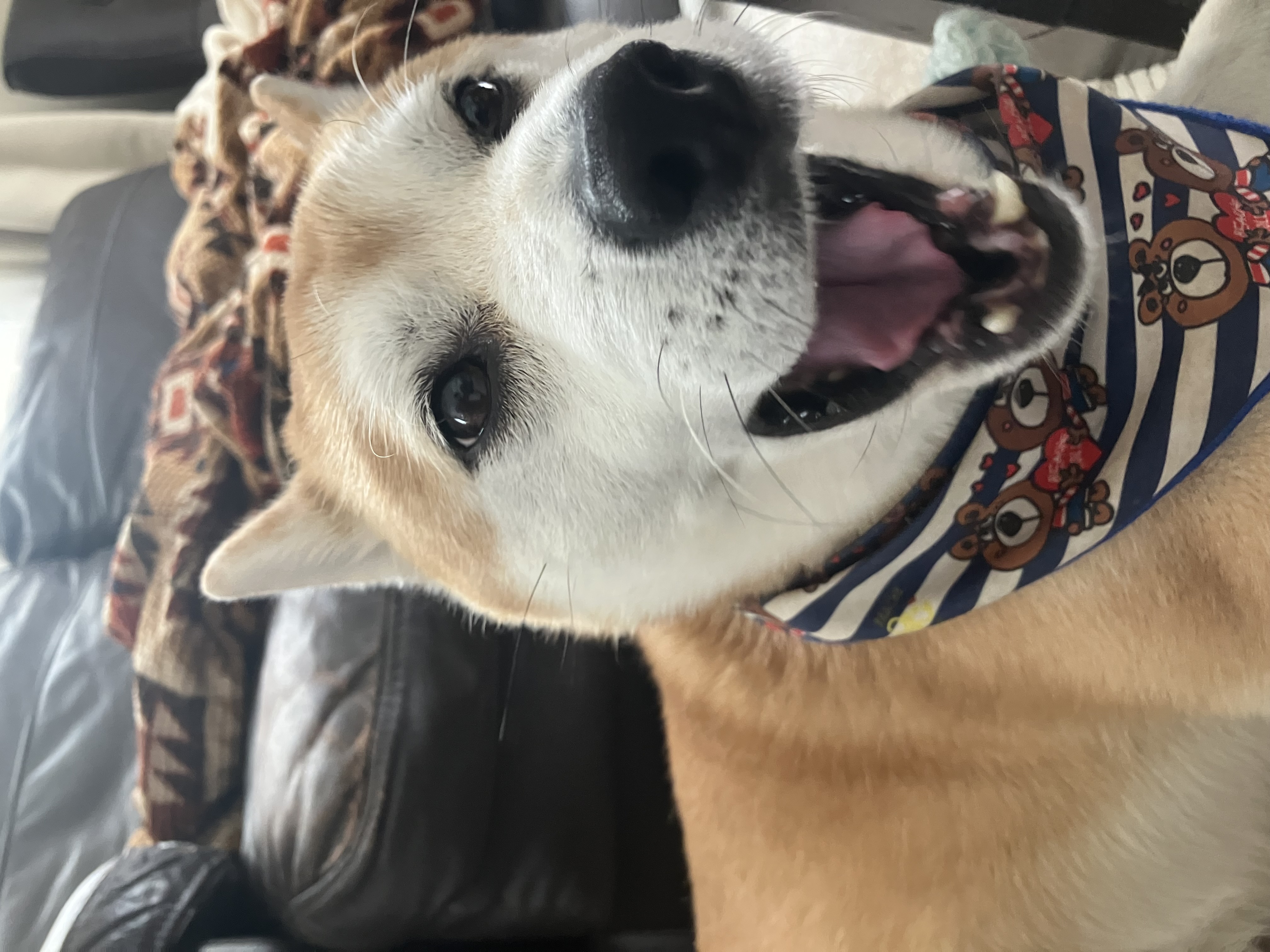 春の車トラブル対策