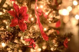 冬の車メンテナンス必須ポイントと掛川北SSのおすすめサービス🚗