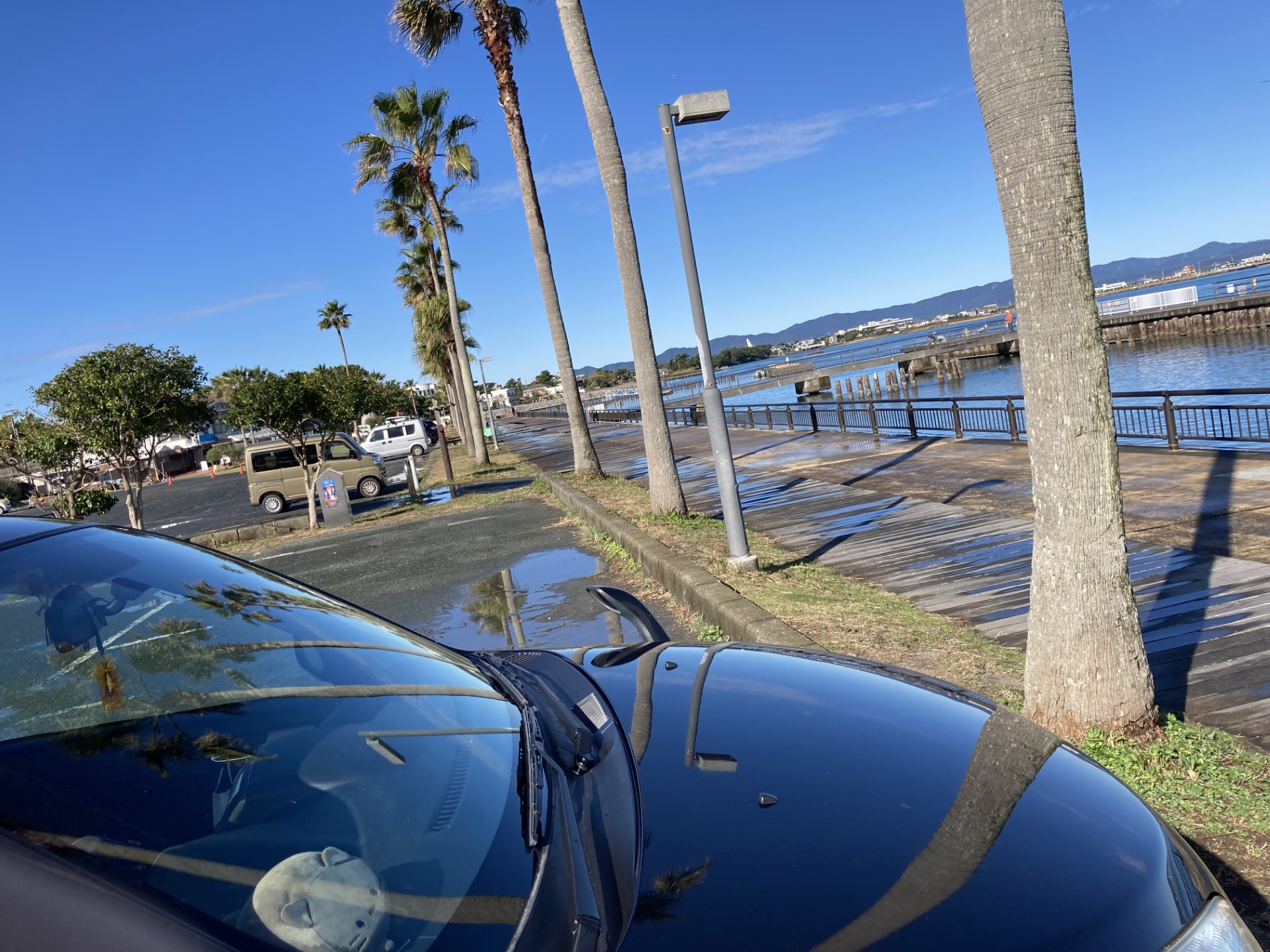 春の急変に備える愛車点検と無料コーティング体験キャンペーン⚡️