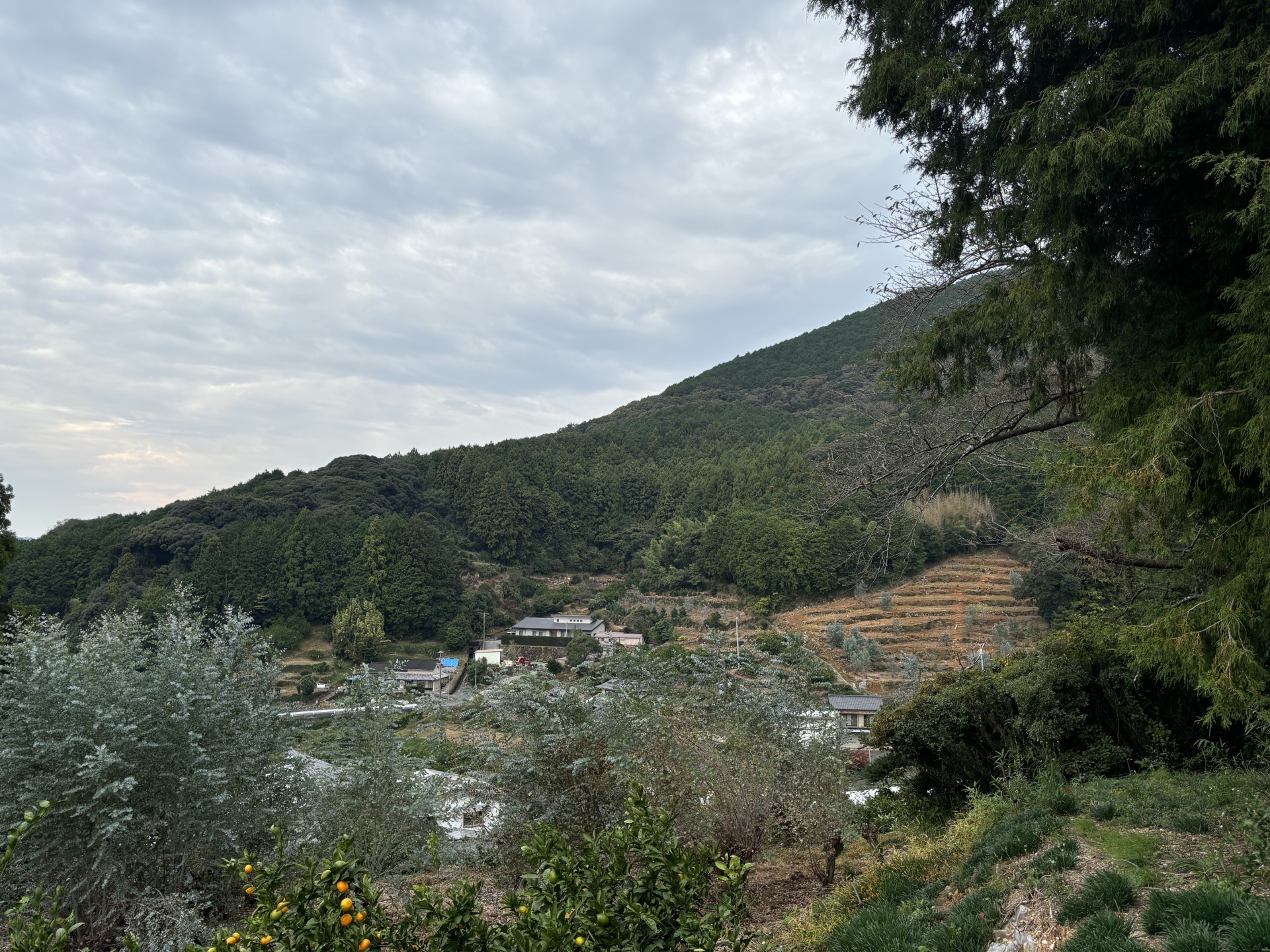 引佐町三岳山道ドライブ🚗～