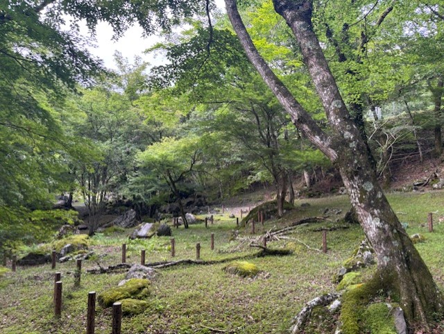 夏の車サビ対策と快適ドライブのコツをセルフ上山梨SSで紹介🚗