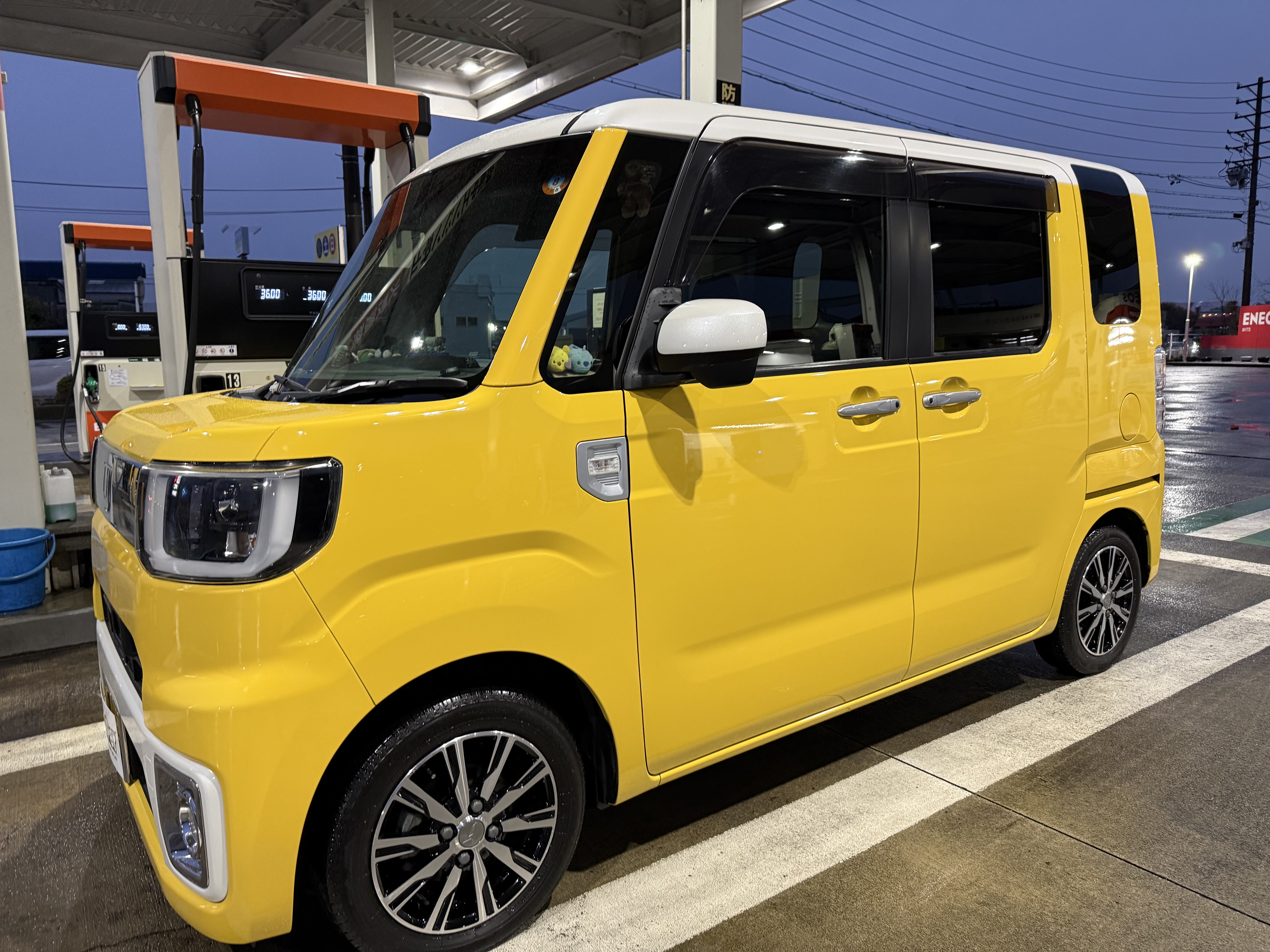 掛川TSで冬の愛車ケア！お得な洗車＆コーティング情報🚗