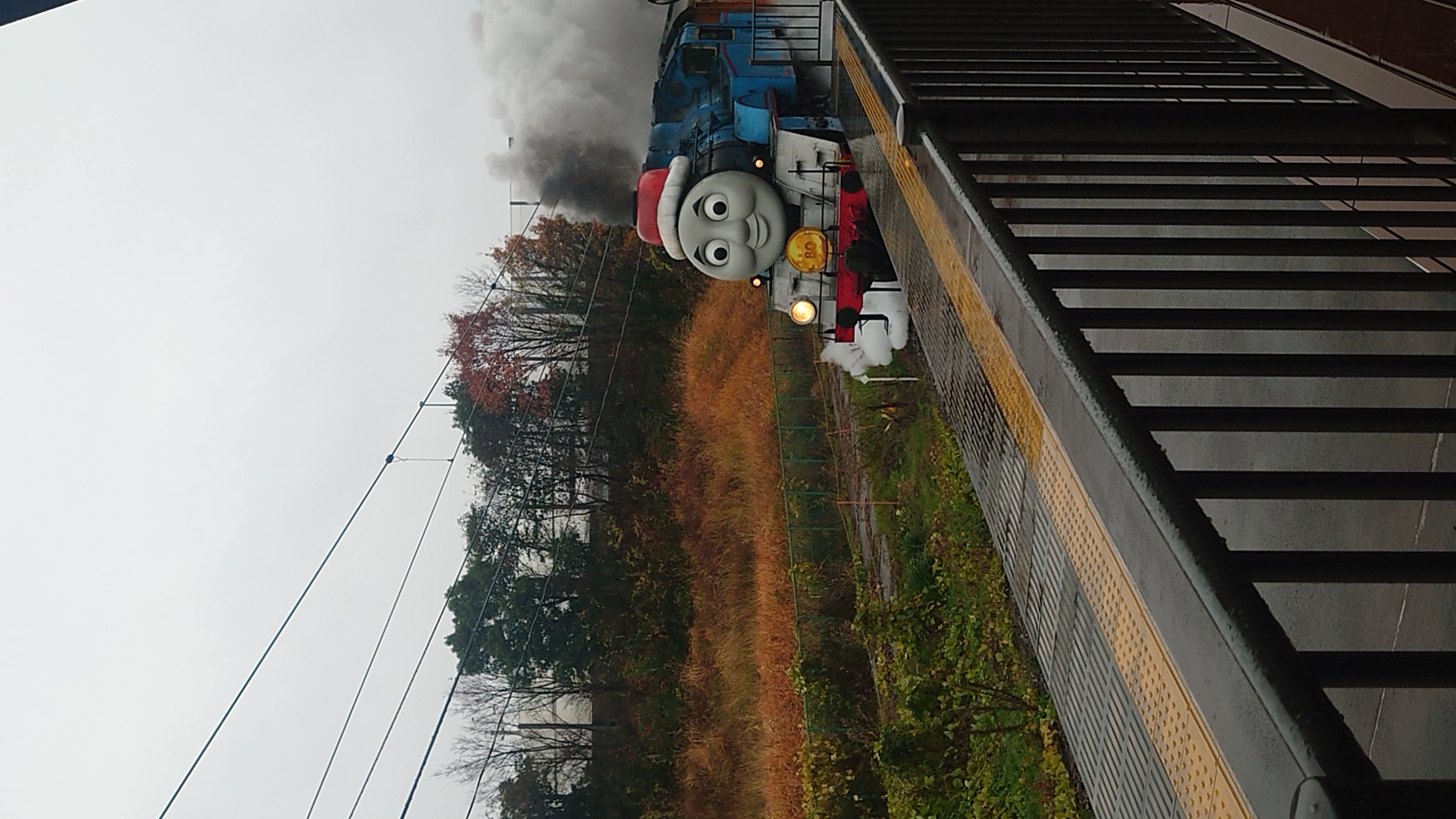 メリー・クリスマス🎄