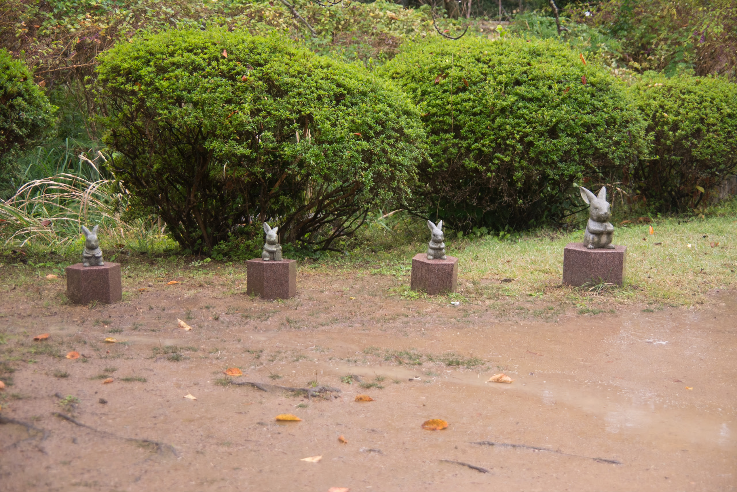 春の洗車キャンペーンで愛車ピカピカにお得な500円コース🚗