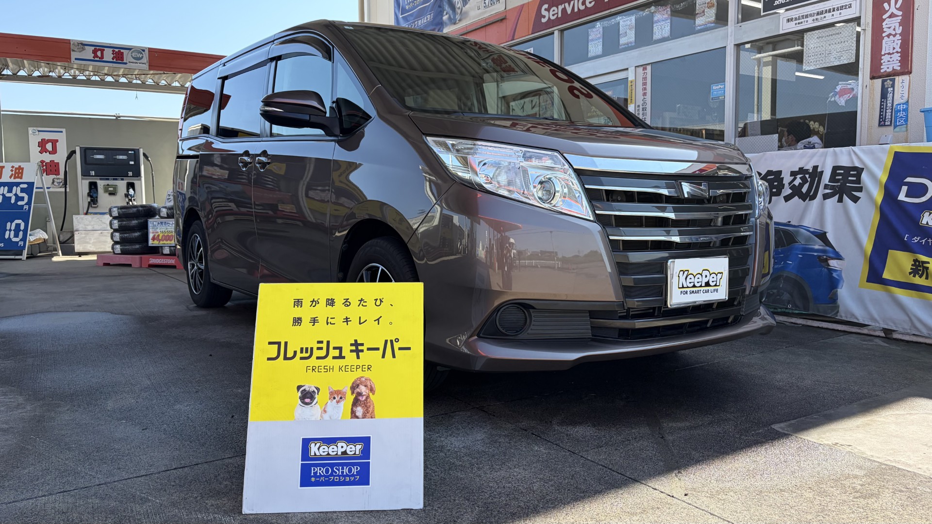 春の花粉・梅雨前におすすめ車コーティングと点検ポイント🚗✨