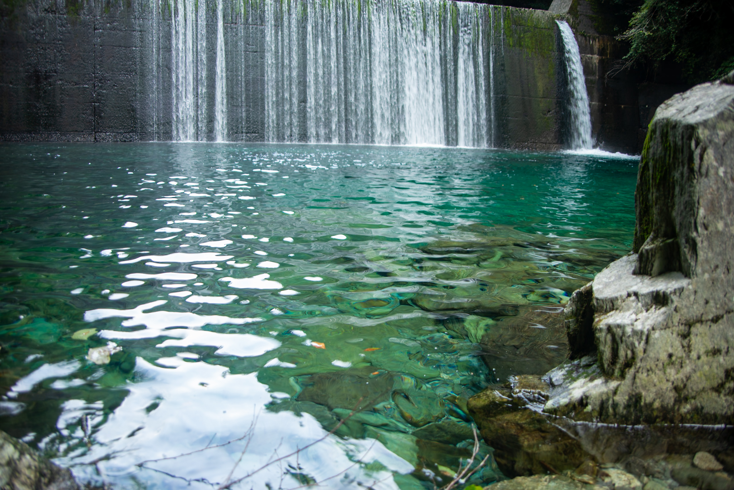春の体調管理と車メンテナンスを応援 エネオスアプリでお得に⛽️