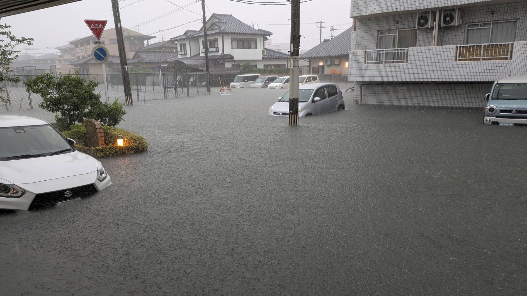 夏のドライブ前にチェックしたい車メンテナンスと洗車キャンペーン情報🚗✨