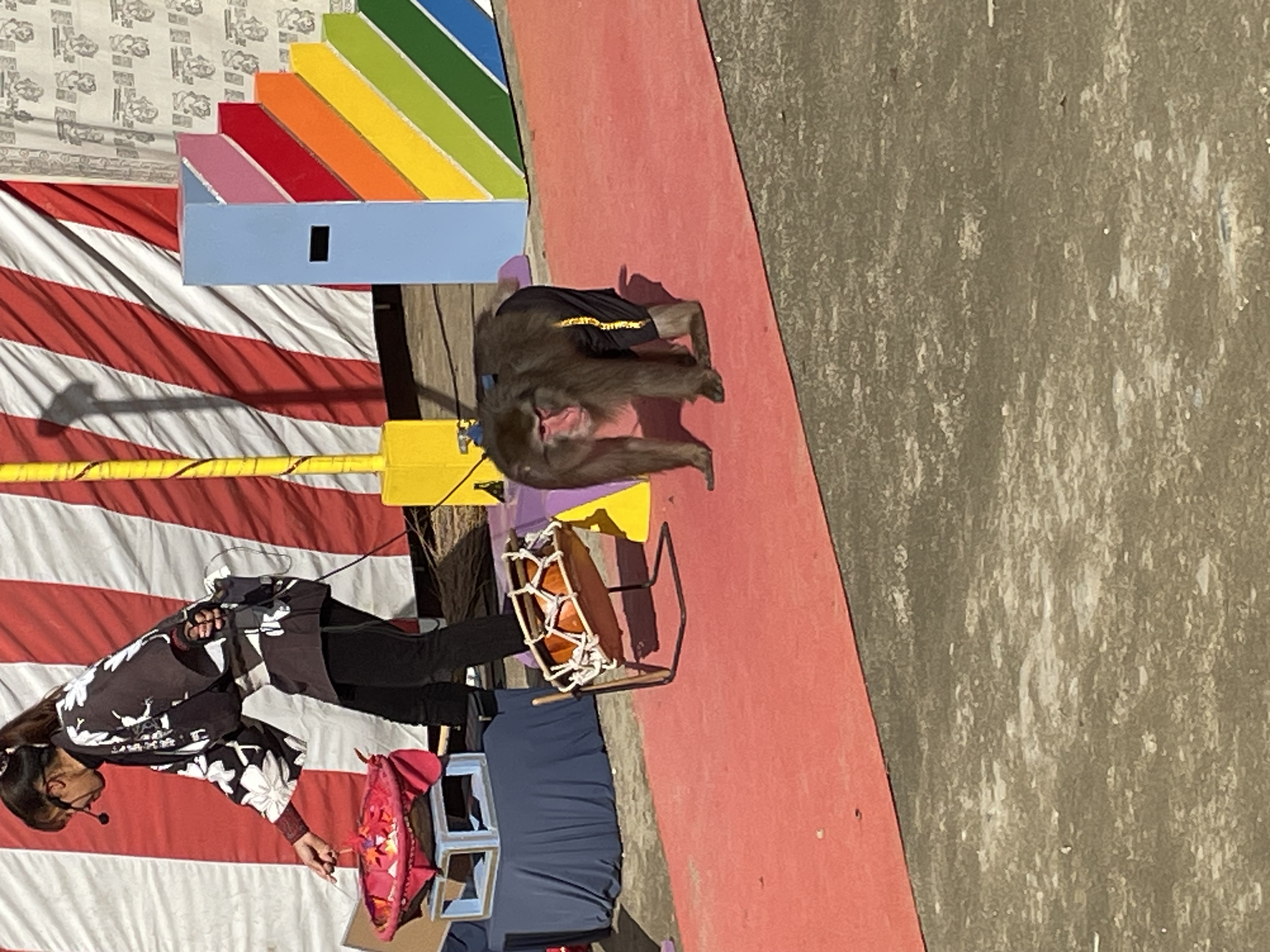 浜松中田島下りTSの冬得オイル交換半額＆コーティング割引情報🚗