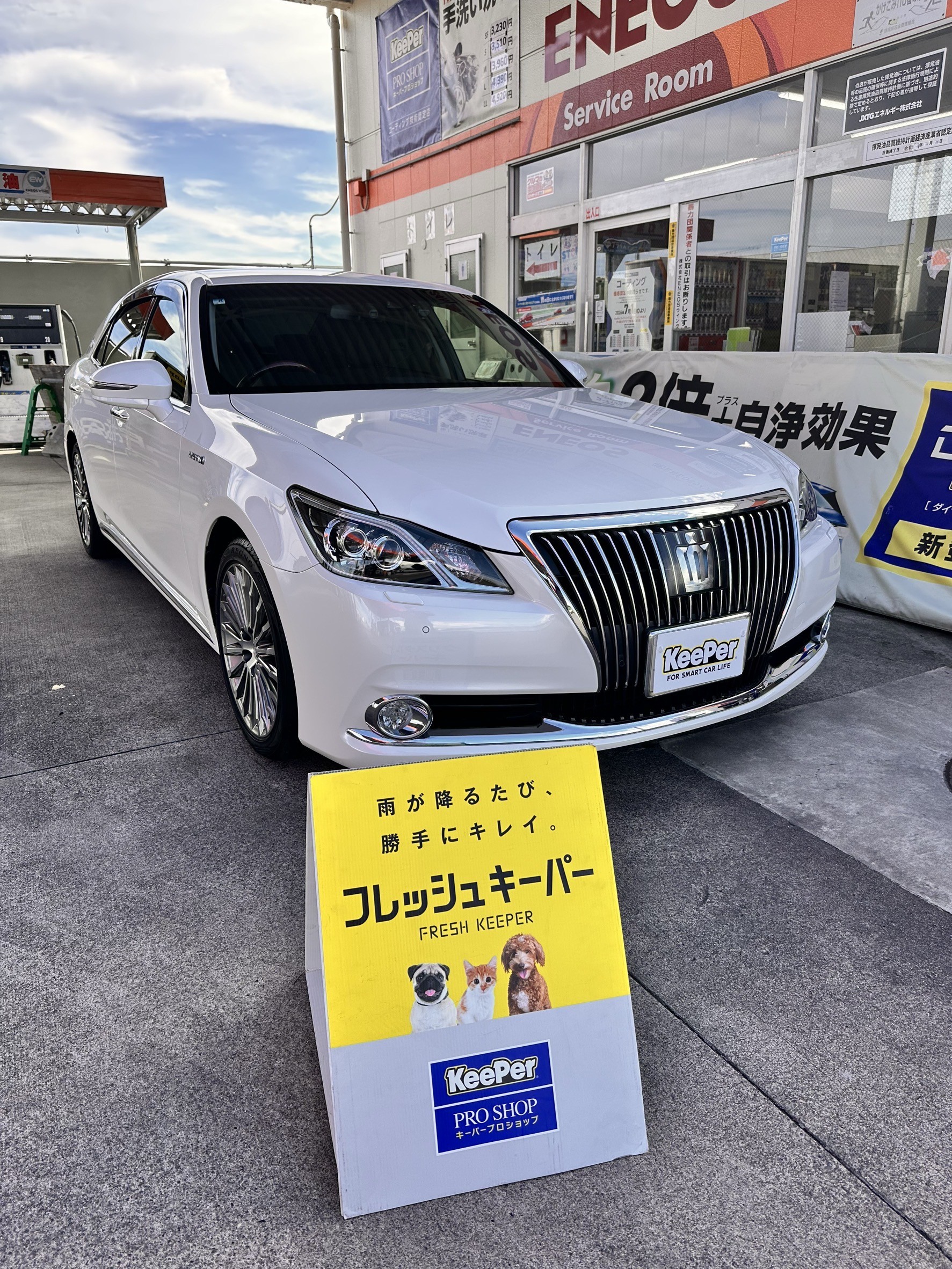 白のトヨタ　クラウン・マジェスタにフレッシュキーパーを施工した後の光沢のあるボディ