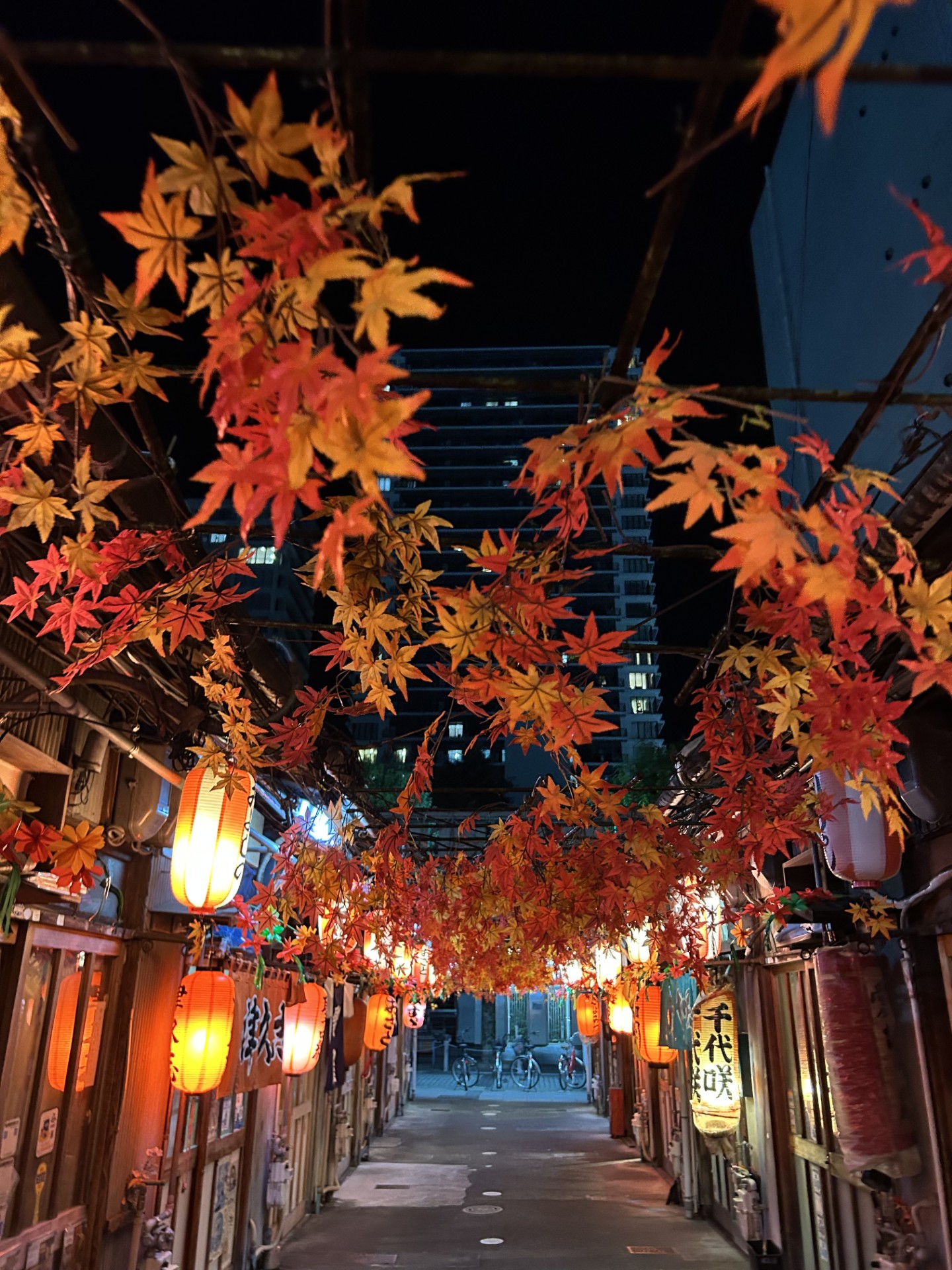 秋のドライブ前におすすめ洗車と冬支度ポイント🚗🍁