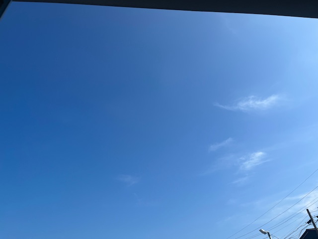夏のドライブ前にチェックしたい車のポイントと梅が岡SSのおすすめサービス🚗