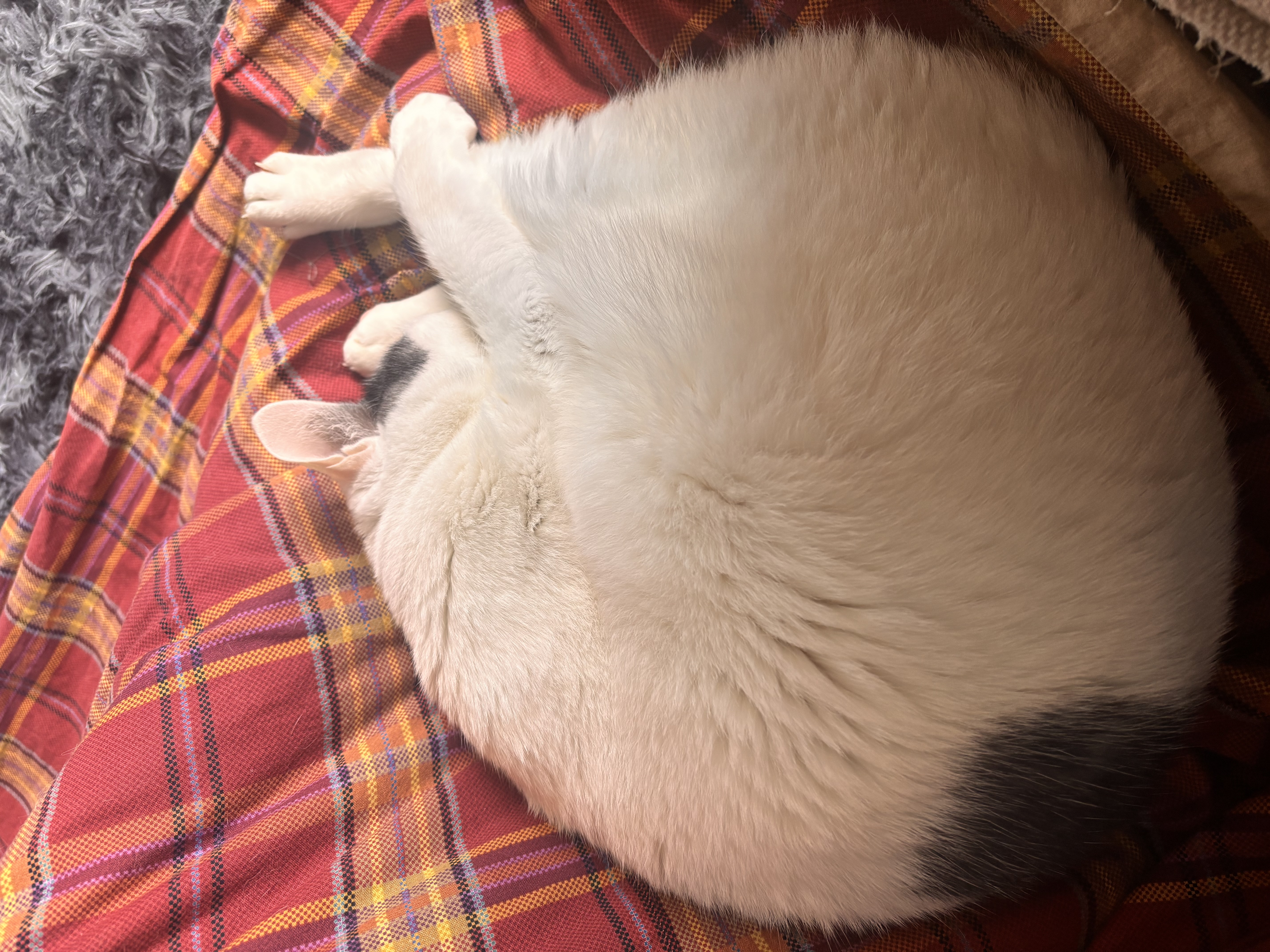 静岡丸子TSで安心点検 春のバッテリー＆タイヤ管理のコツ🚗