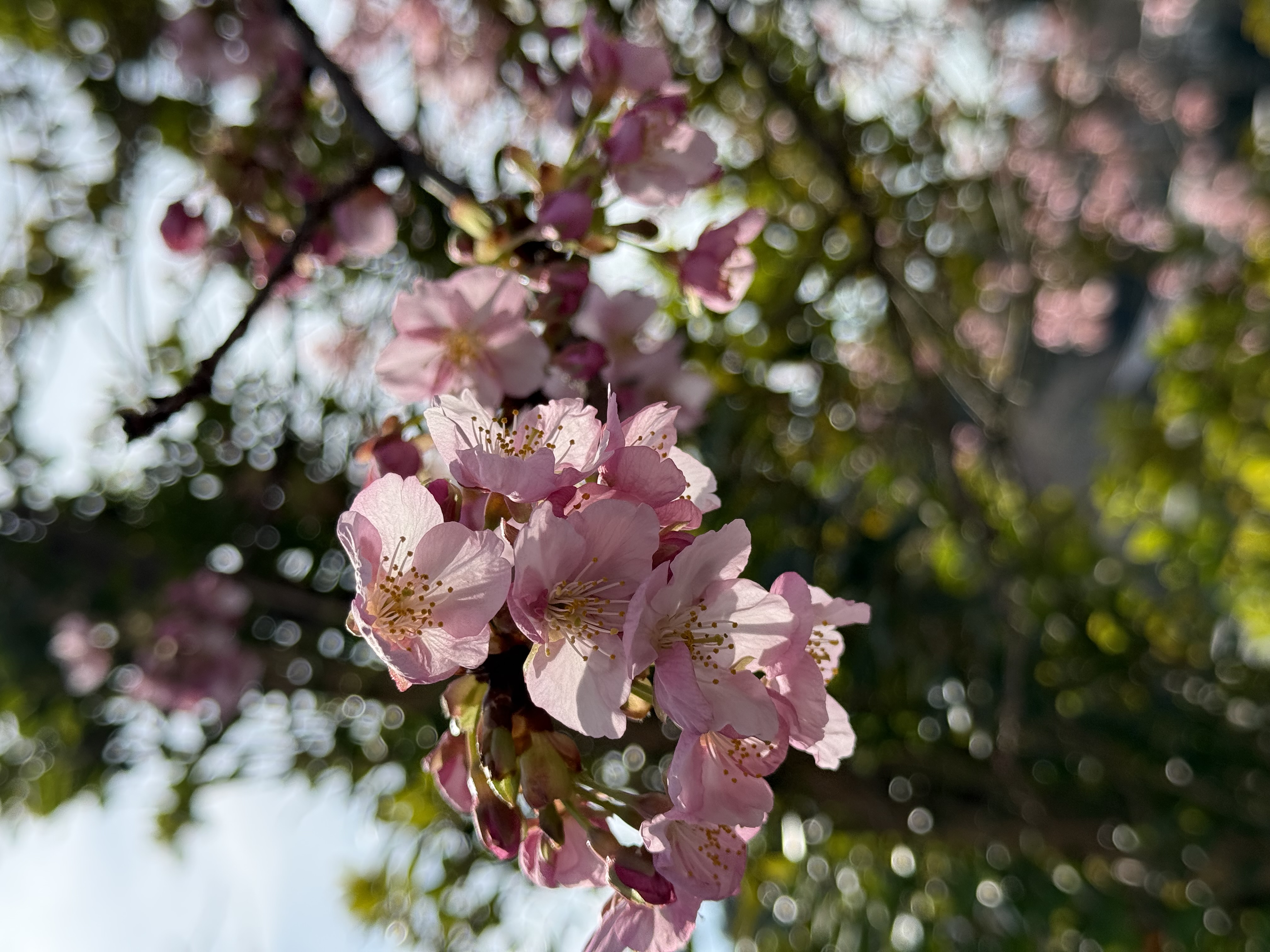 雨の日も安心安全に春の車メンテナンスと洗車で快適ドライブ🚗